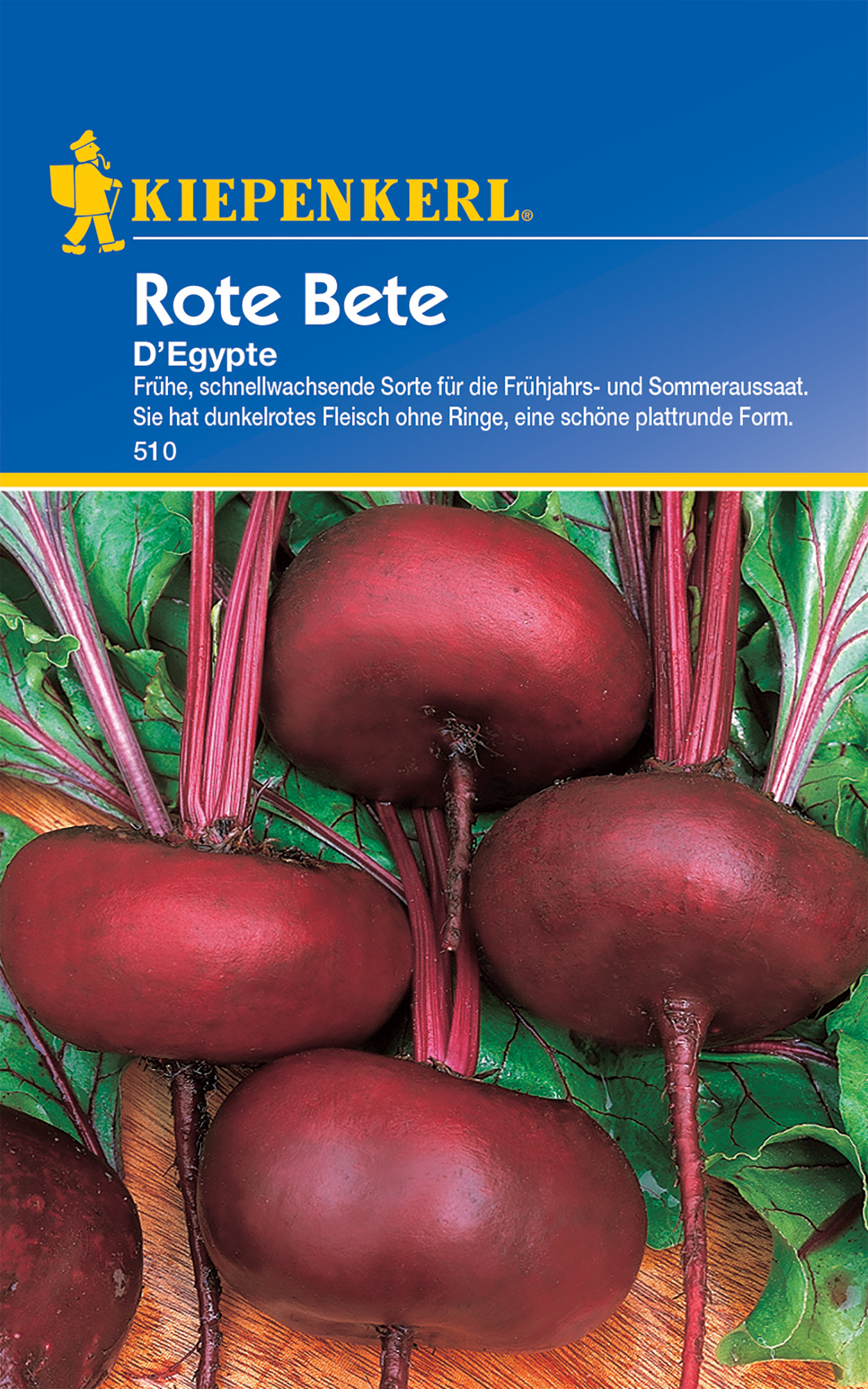 Rote Bete D'Egypte