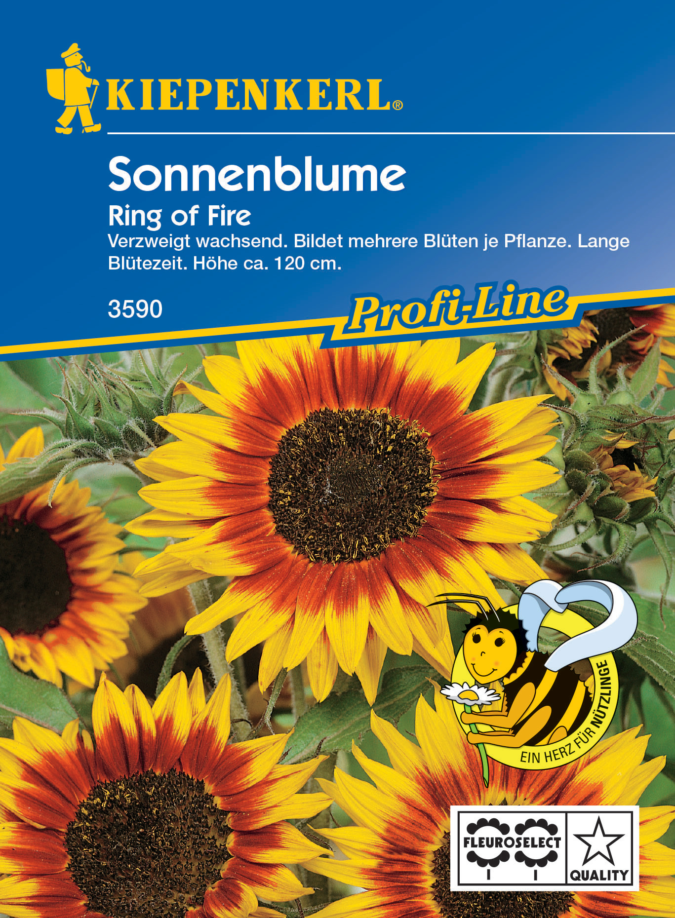 Sonnenblume Ring of Fire