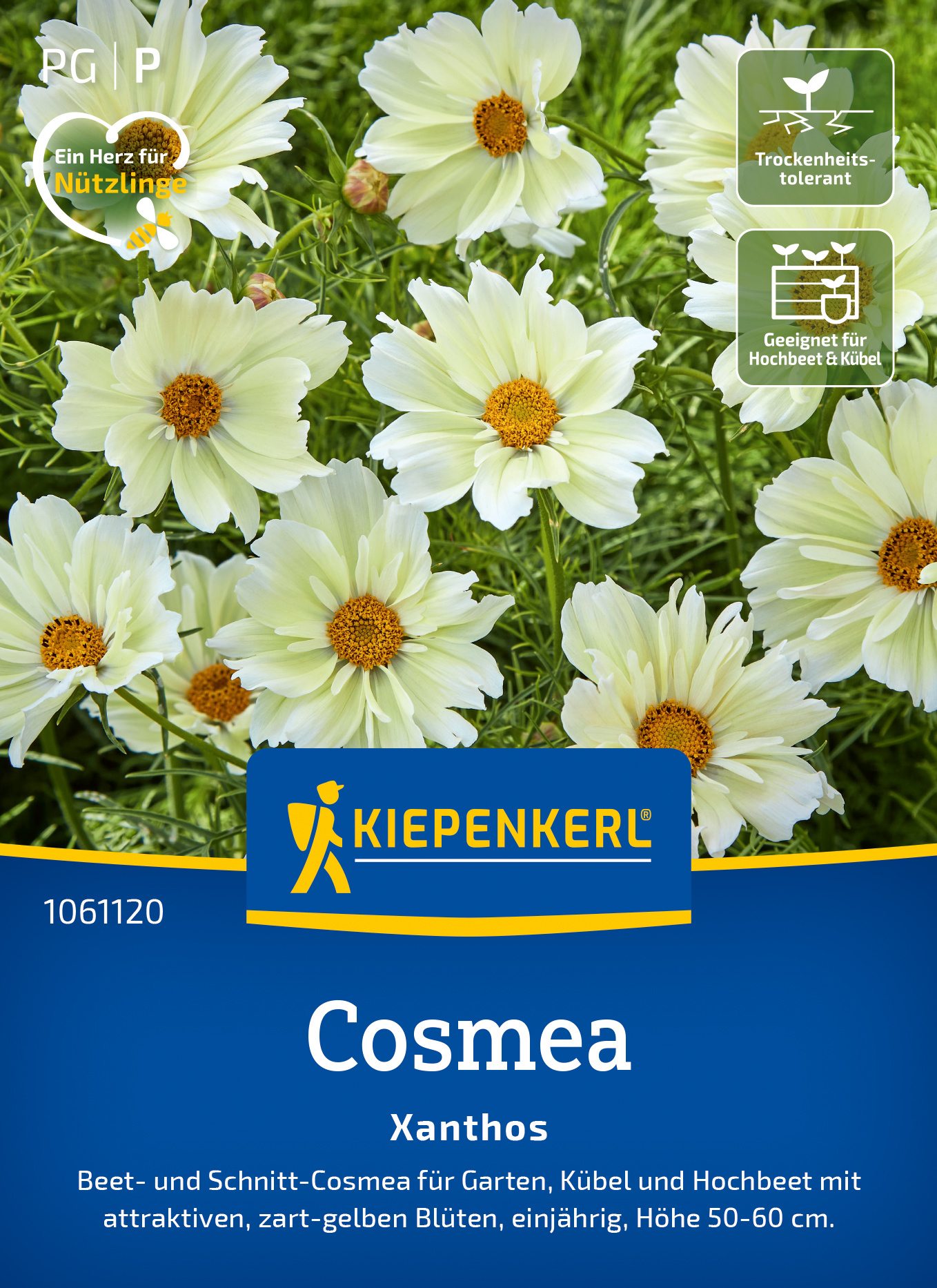 Cosmos Xanthos