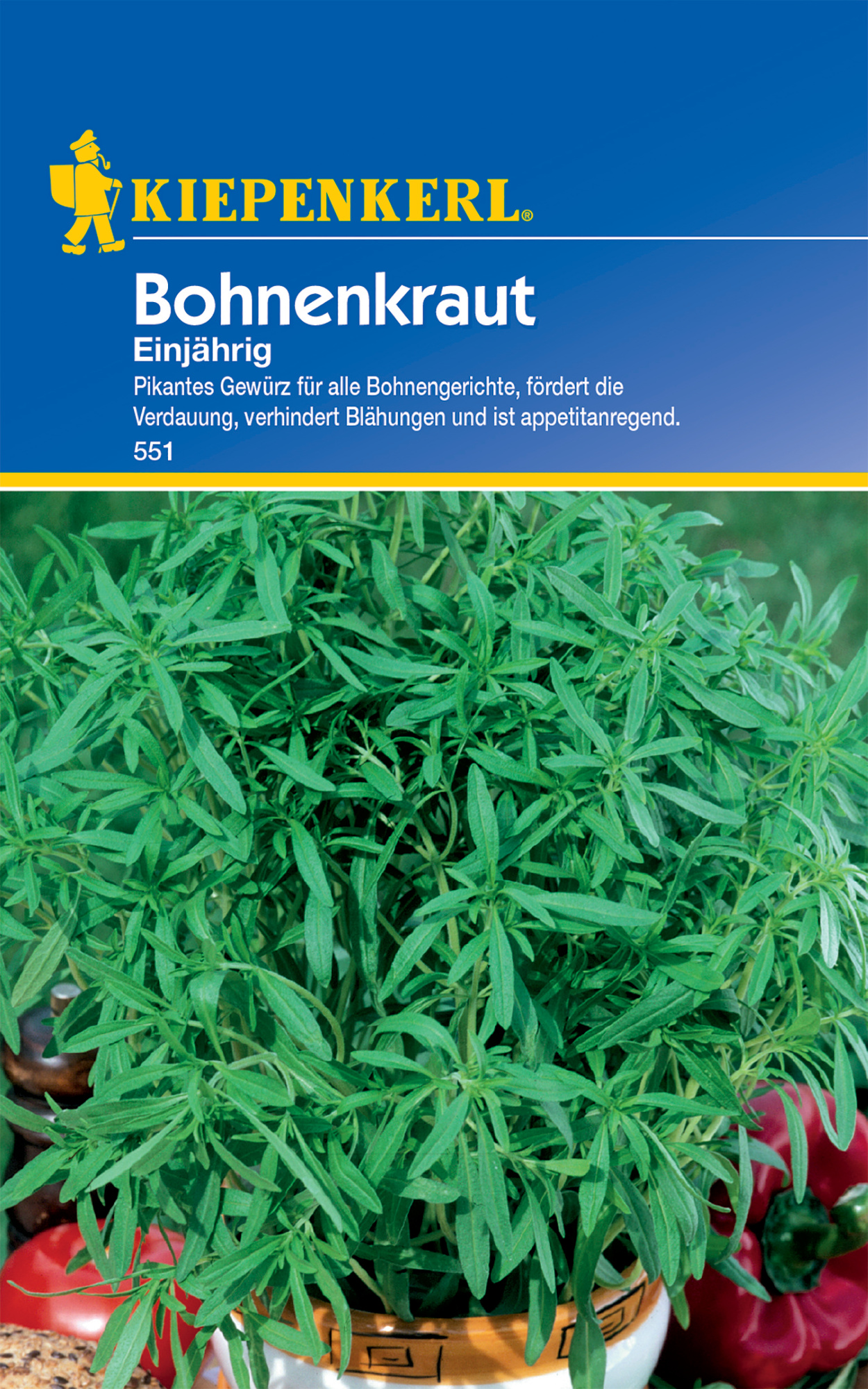 Bohnenkraut, einjährig