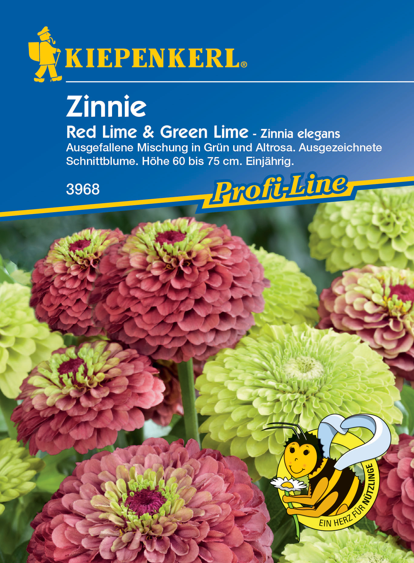 Zinnie Red Lime + Green Lime
