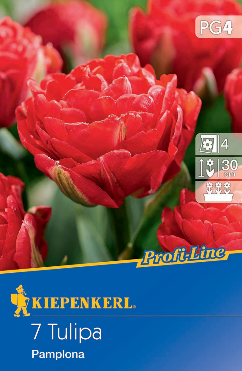 Profi-Line Gefüllte frühe Tulpe Pamplona