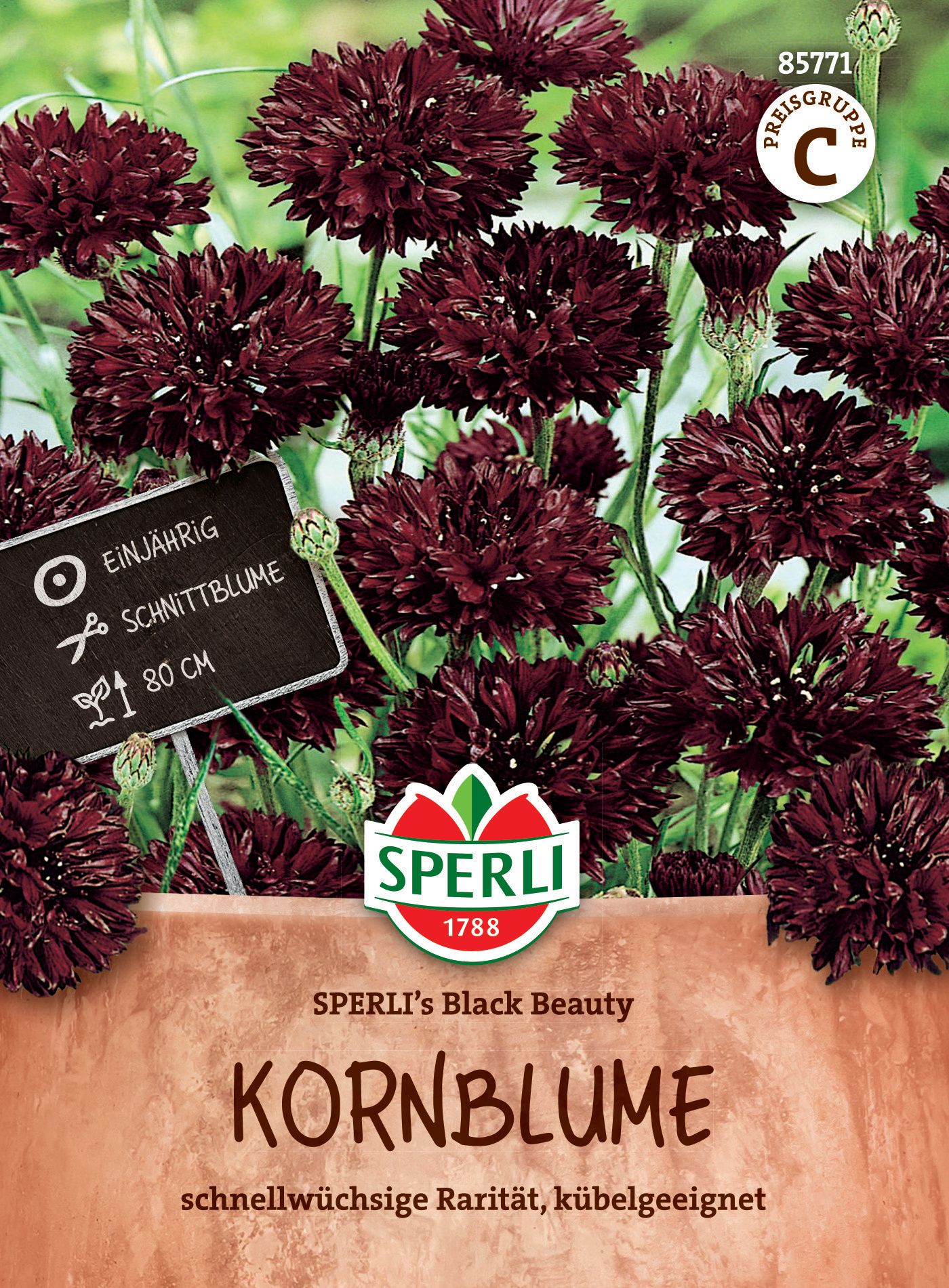 Kornblume SPERLI's Black Beauty