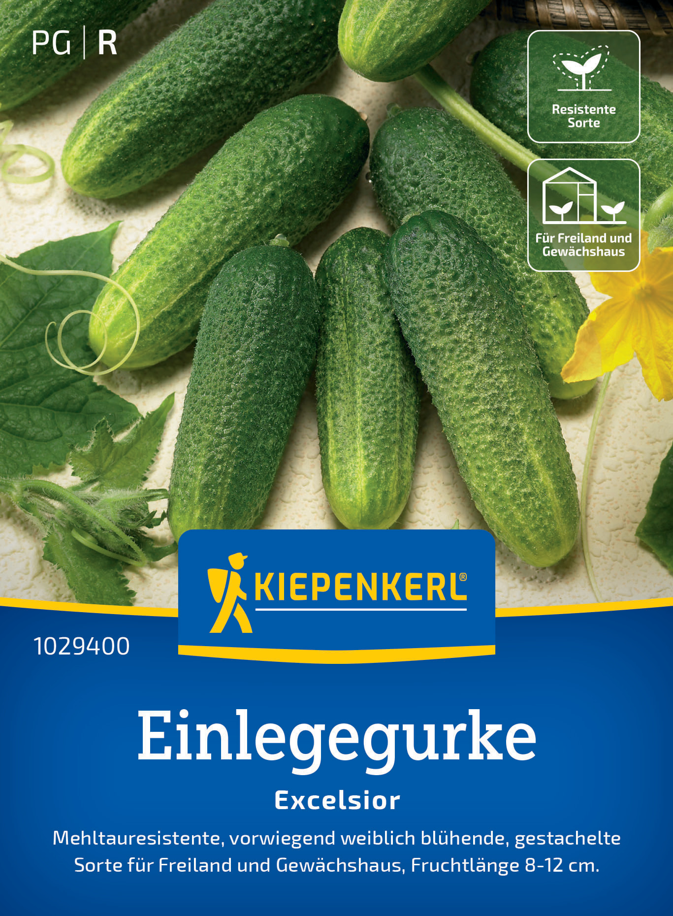 Einlegegurke Excelsior, F1