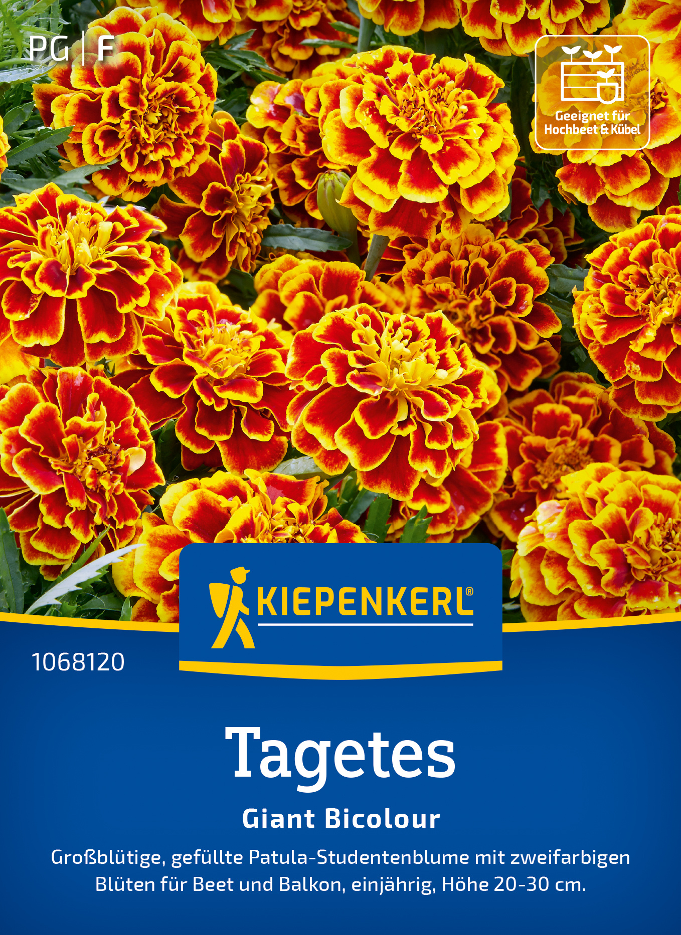 Tagetes Giant Bicolour