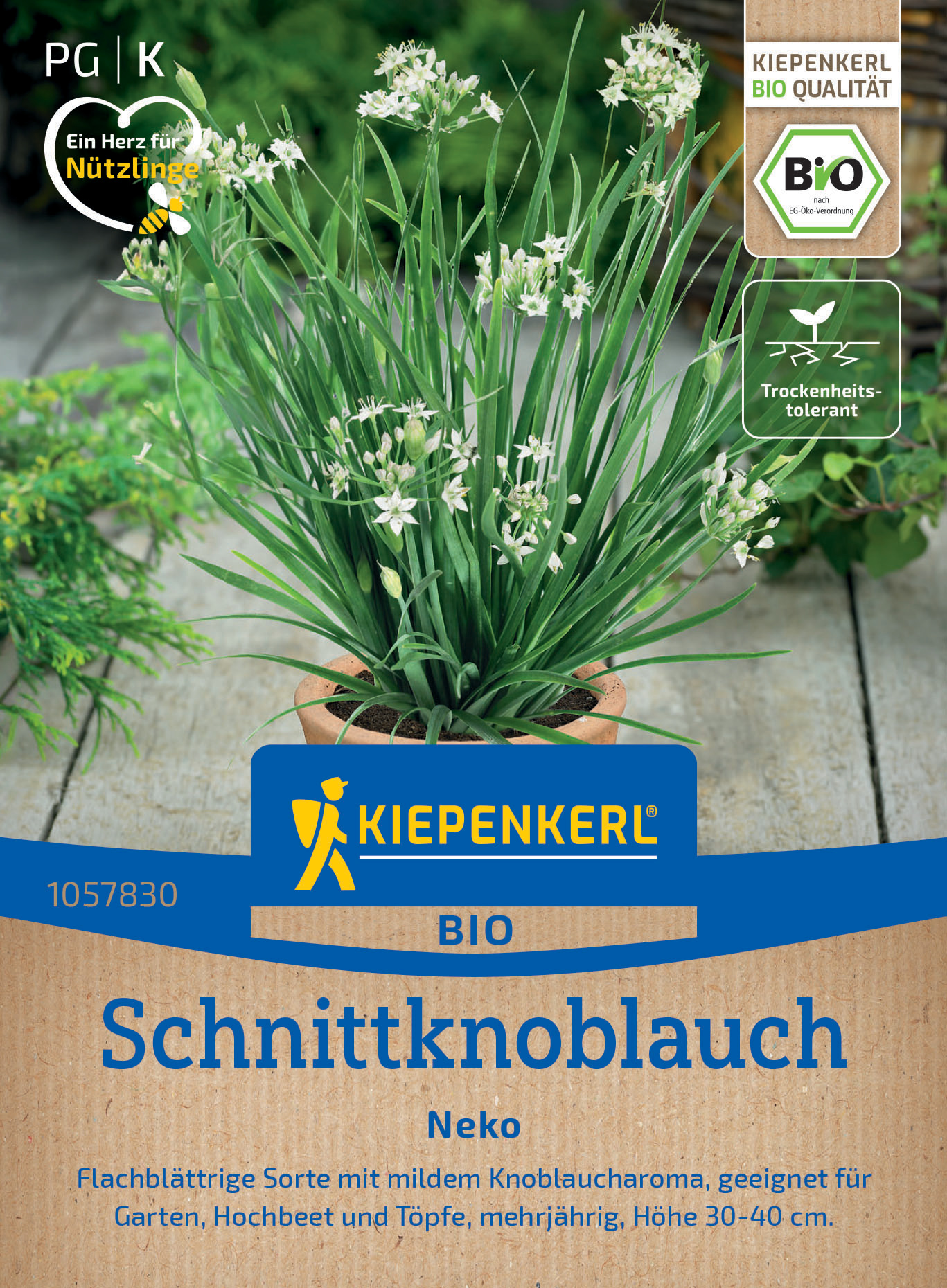 BIO Schnittknoblauch Neko