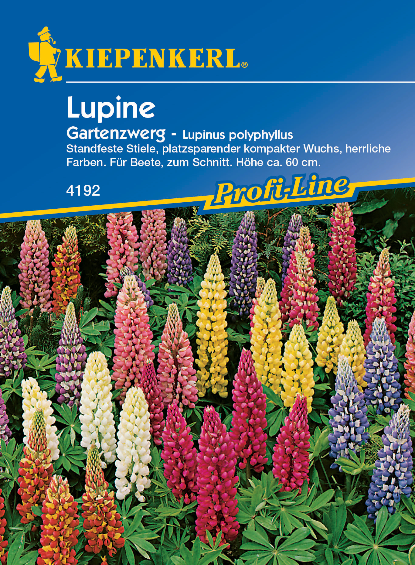 Lupine Gartenzwerg