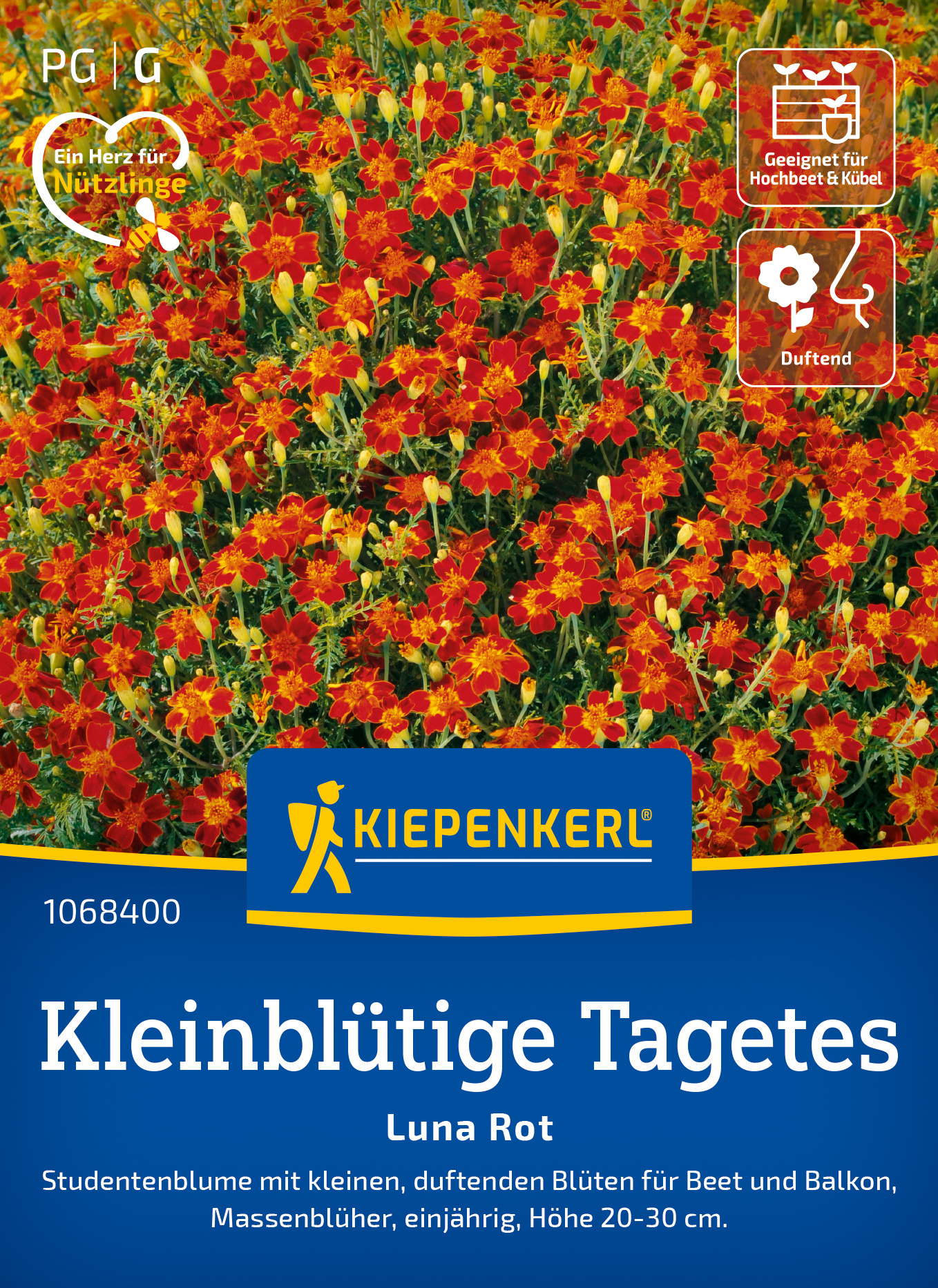 Kleinblütige Tagetes Luna Rot