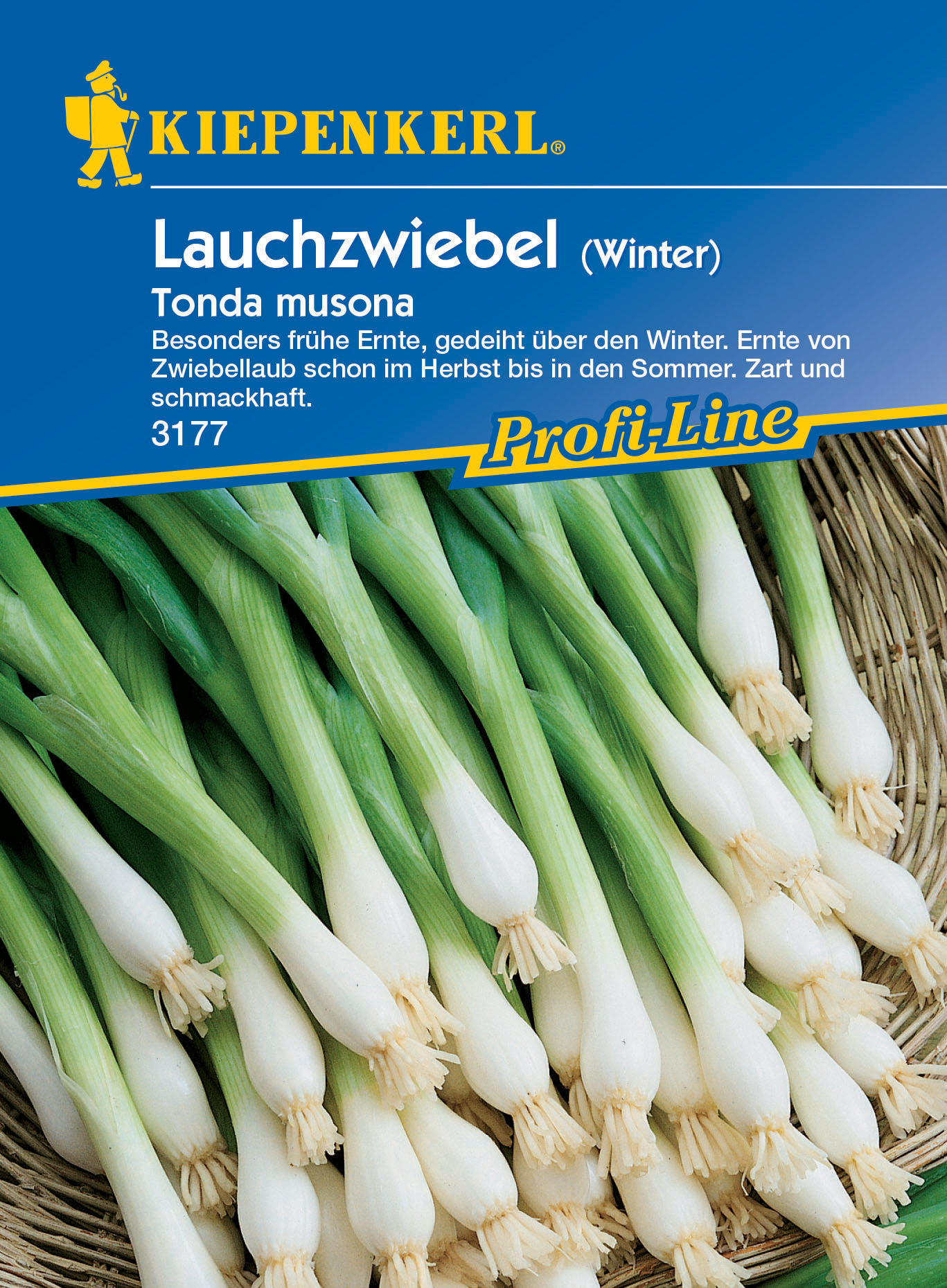 Winterlauchzwiebel Tonda musona