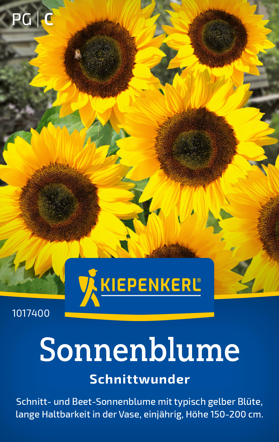 Sonnenblume Schnittwunder