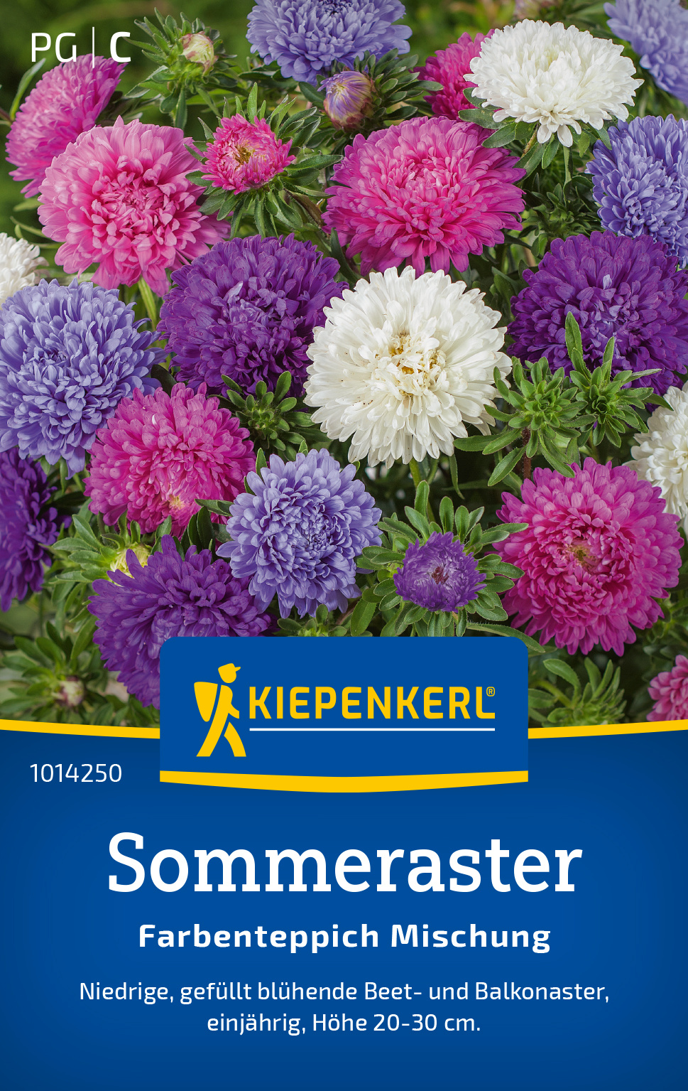 Sommeraster Farbenteppich Mischung