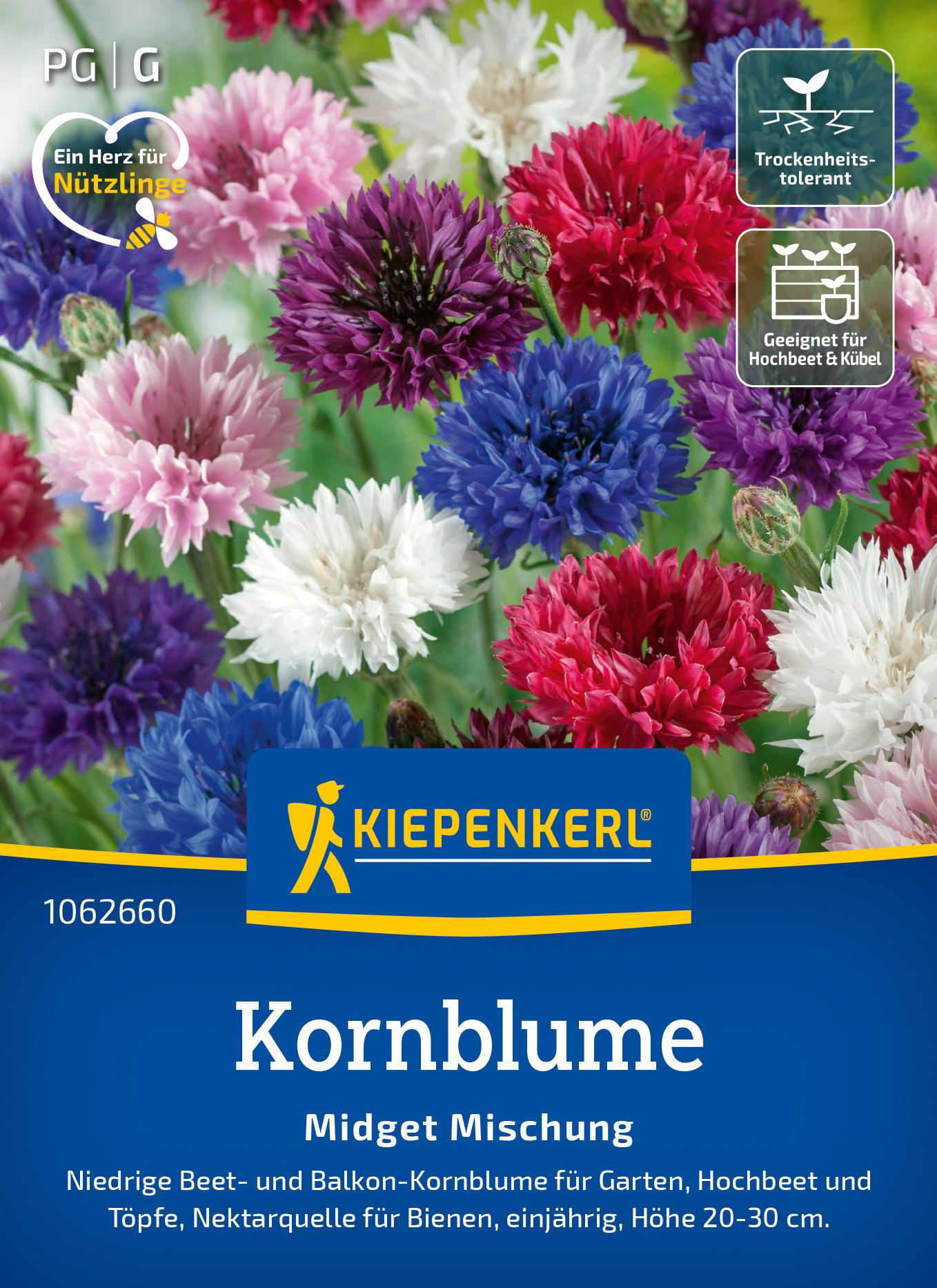 Kornblume Midget Mischung