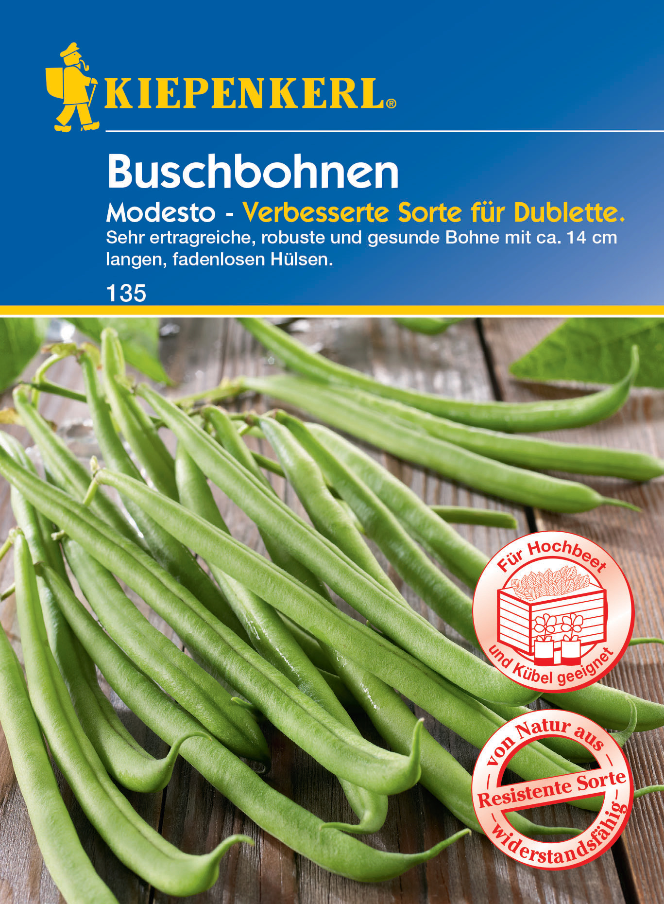 Buschbohne Modesto