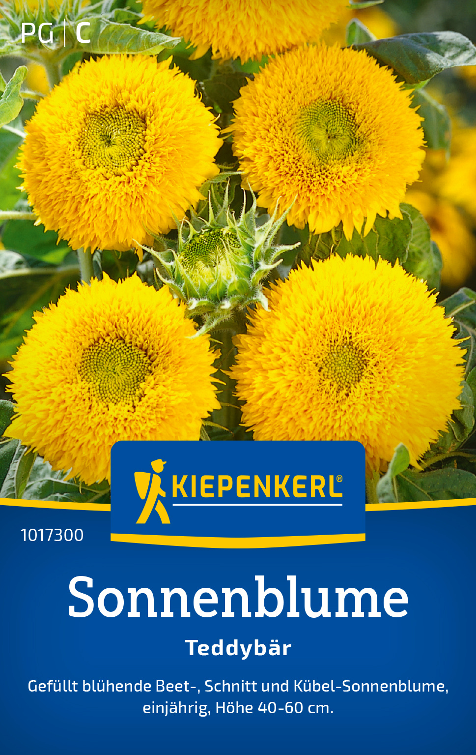 Sonnenblume Teddybär