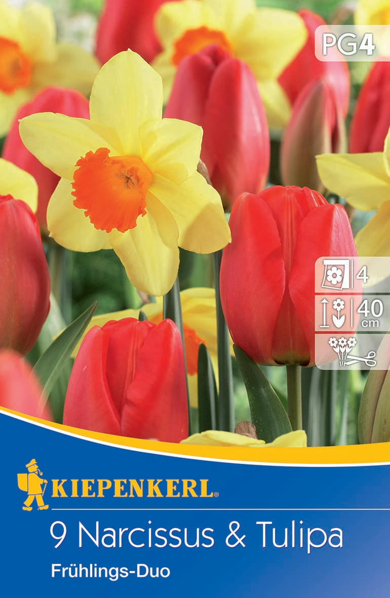 Tulpen-Narzissen-Mischung Frühlingsduo