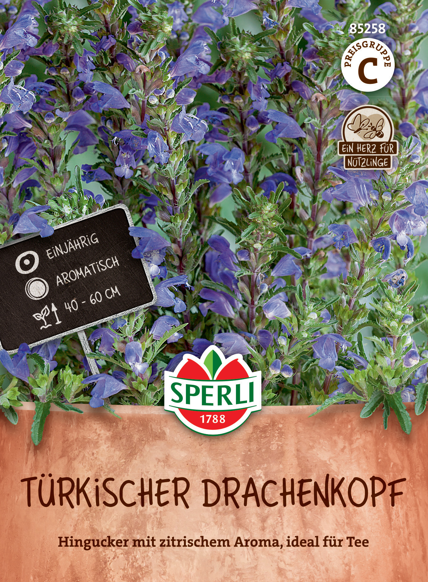 Türkischer Drachenkopf