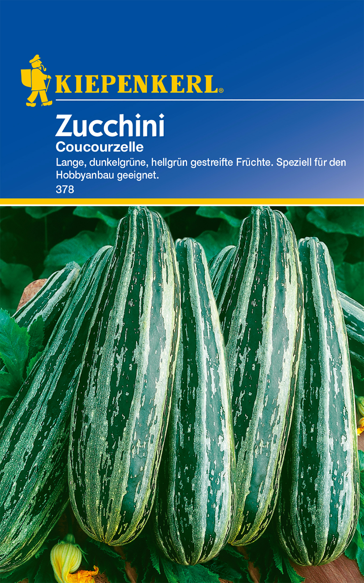 Zucchini Coucourzelle