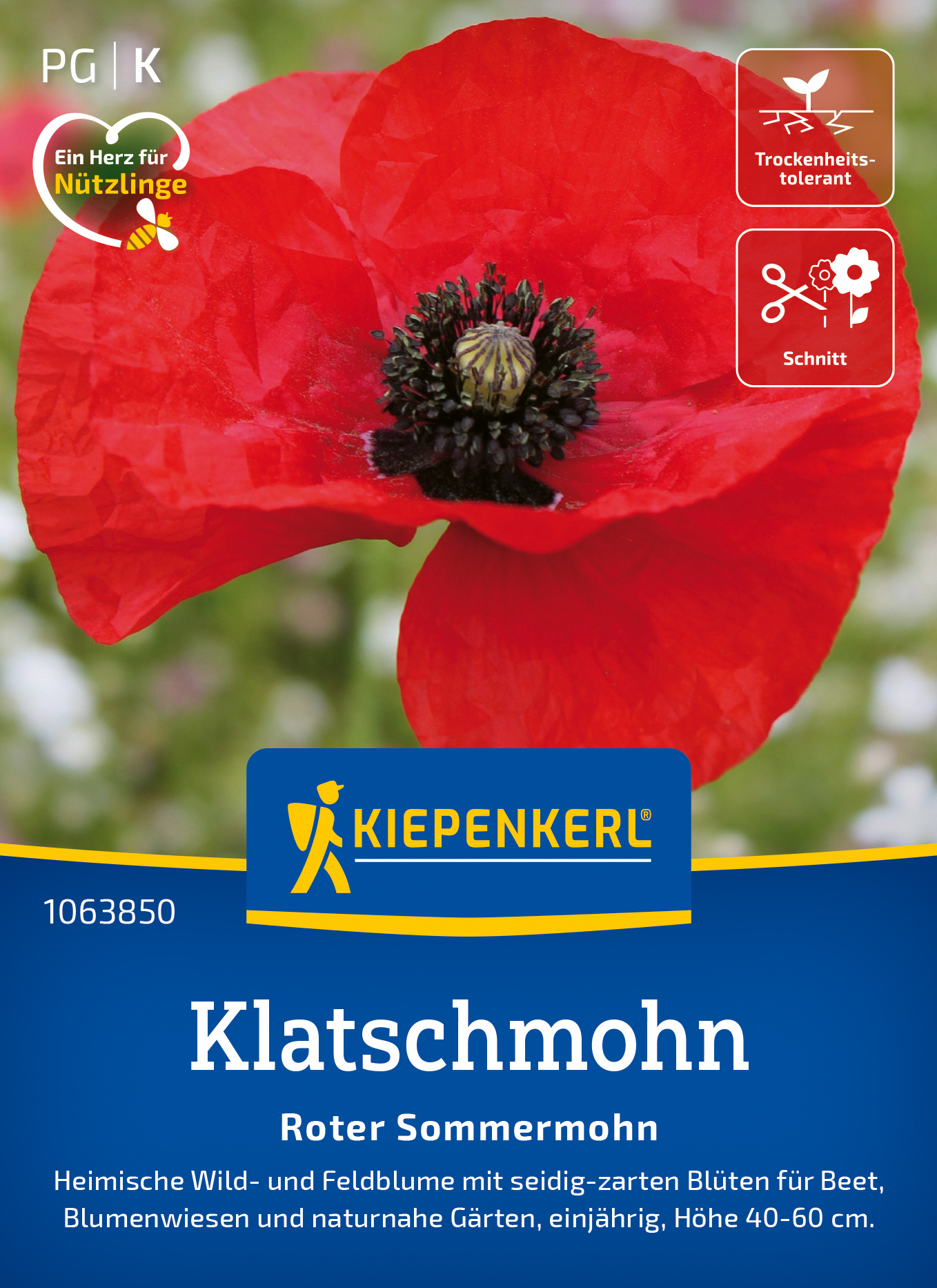 Klatschmohn