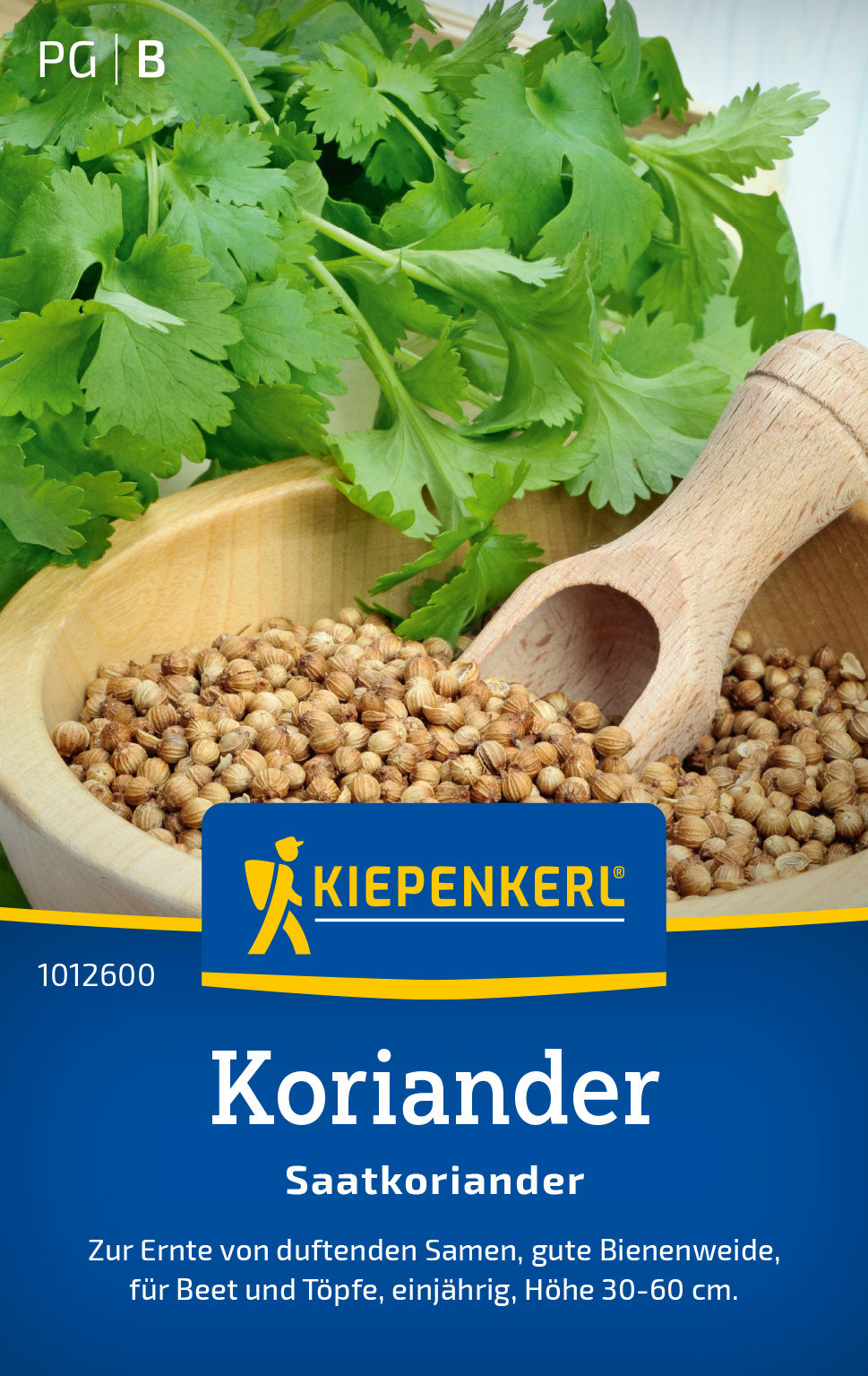 Koriander Saatkoriander