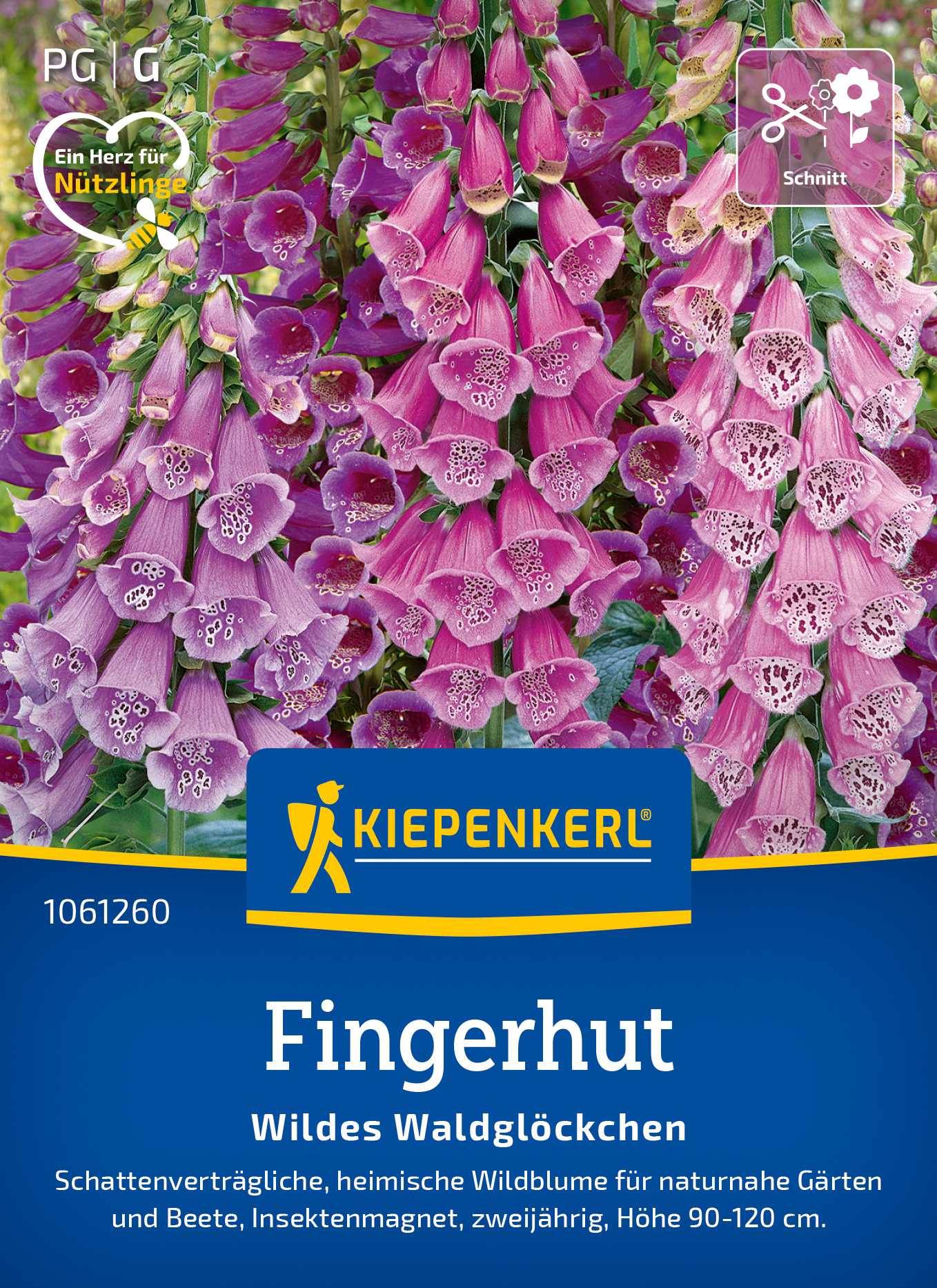 Fingerhut Wildes Waldglöckchen