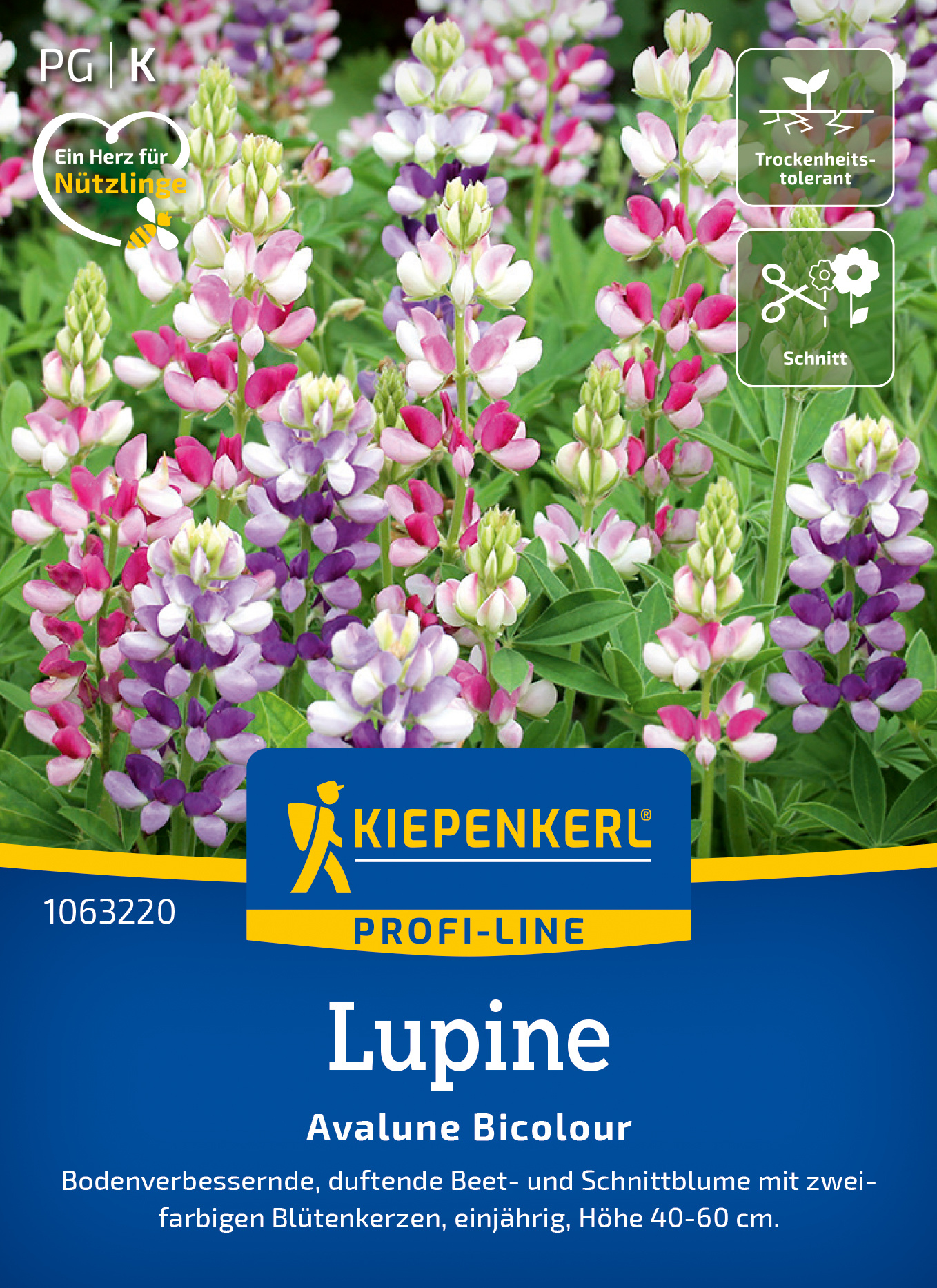 Lupine Avalune Bicolour