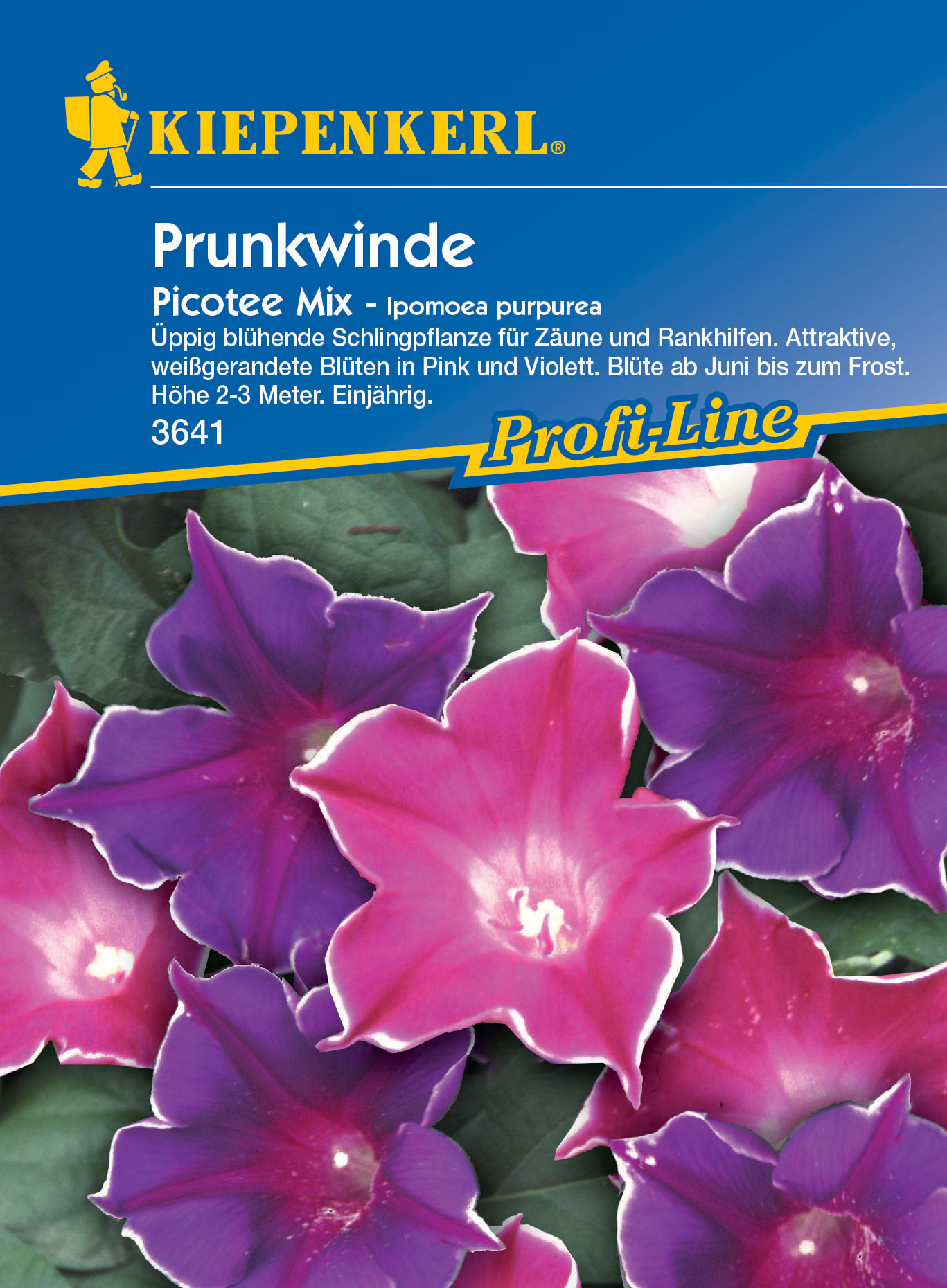 Prunkwinde Picotee Mix