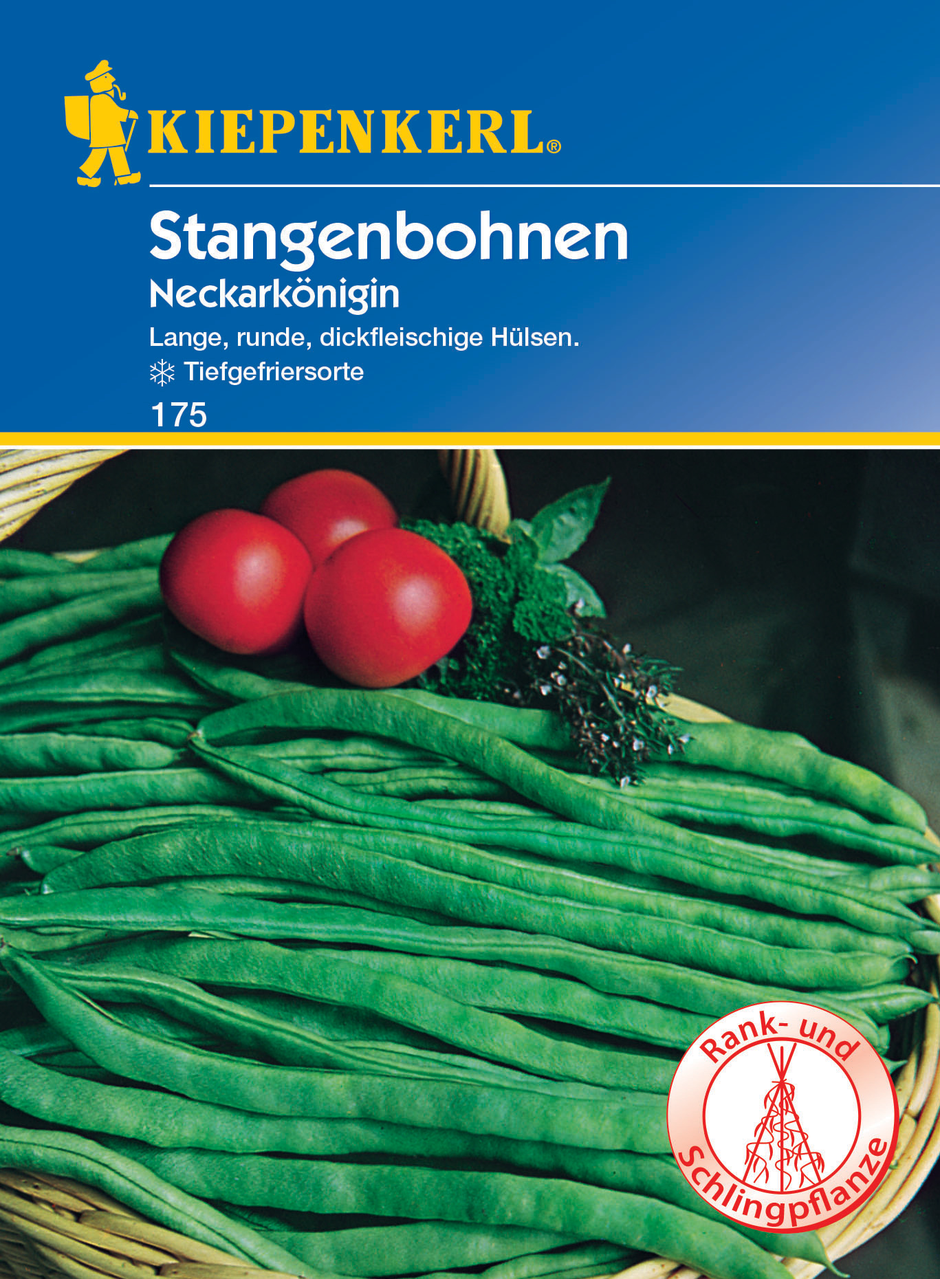 Stangenbohne Neckarkönigin