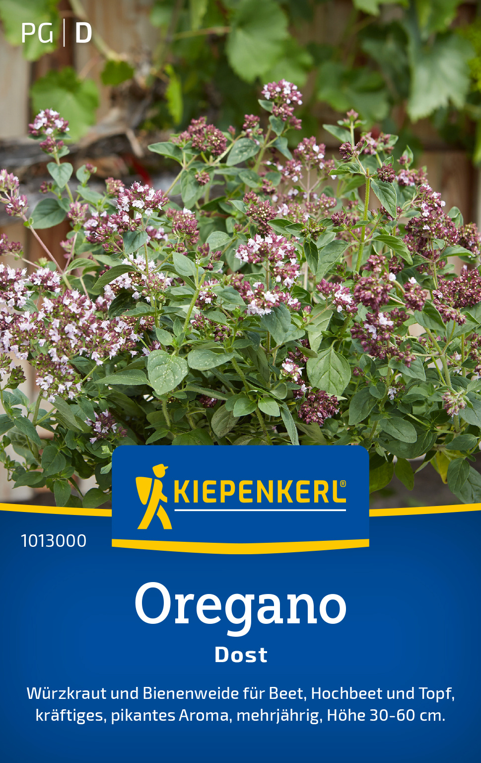 Oregano Dost