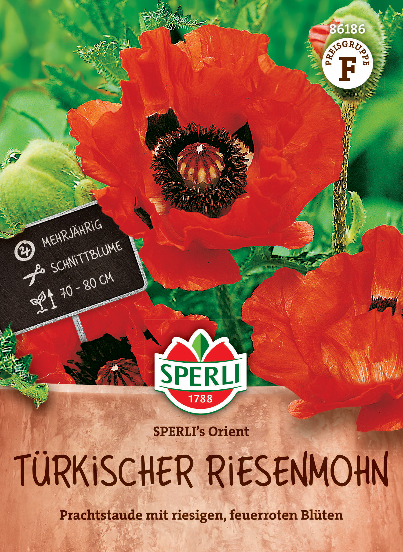 Türkischer Riesenmohn SPERLI's Orient