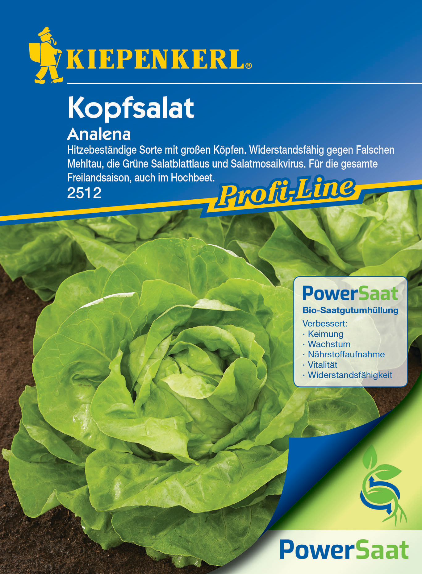 Kopfsalat Analena PowerSaat