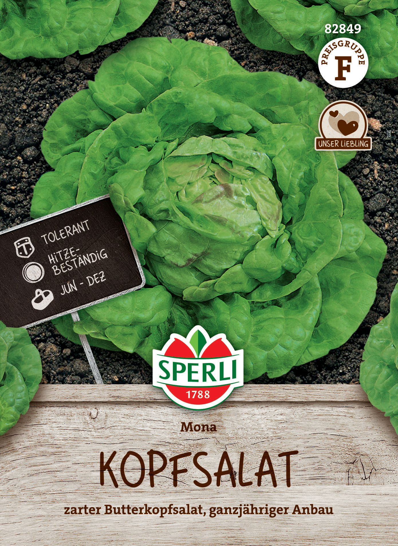 Kopfsalat Mona