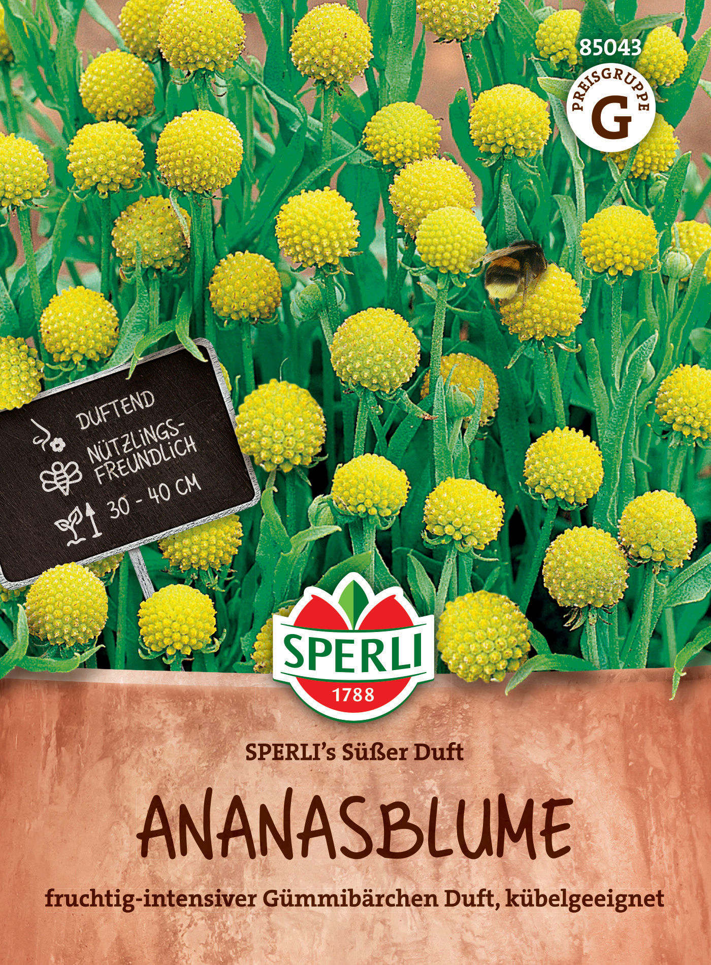 Ananasblume SPERLI's Süßer Duft