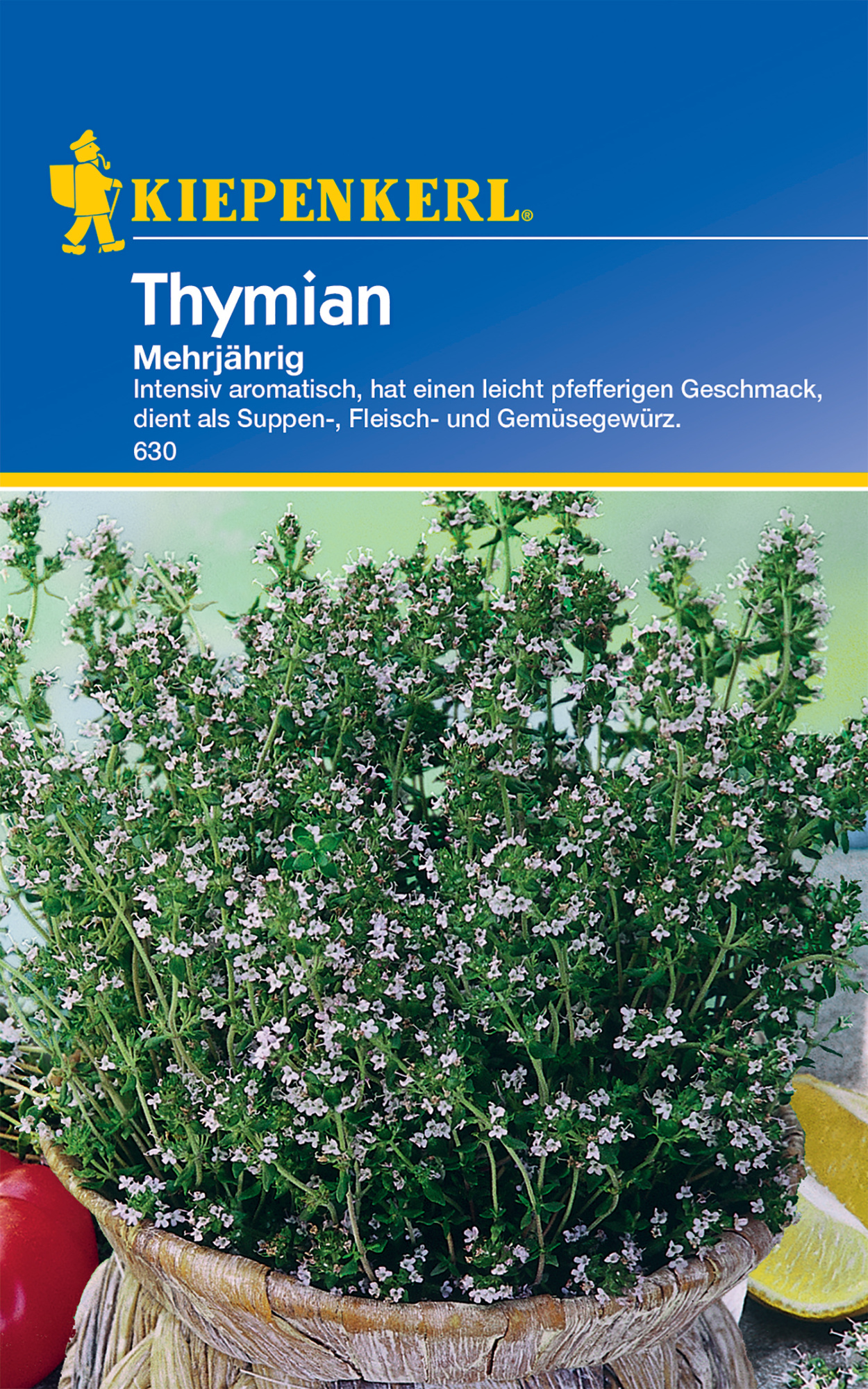 Thymian