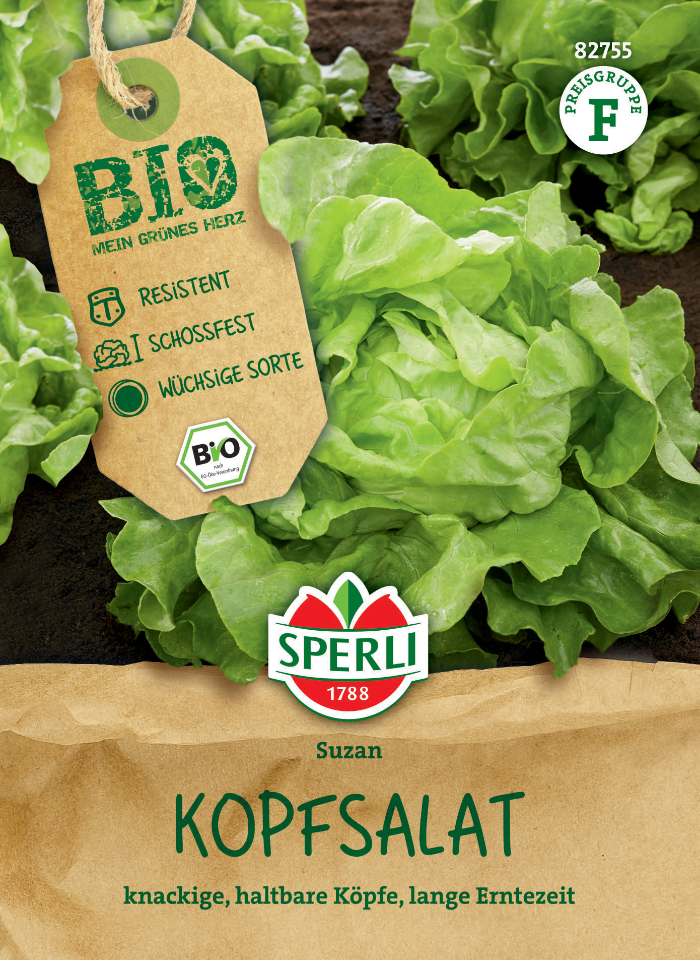 BIO Kopfsalat