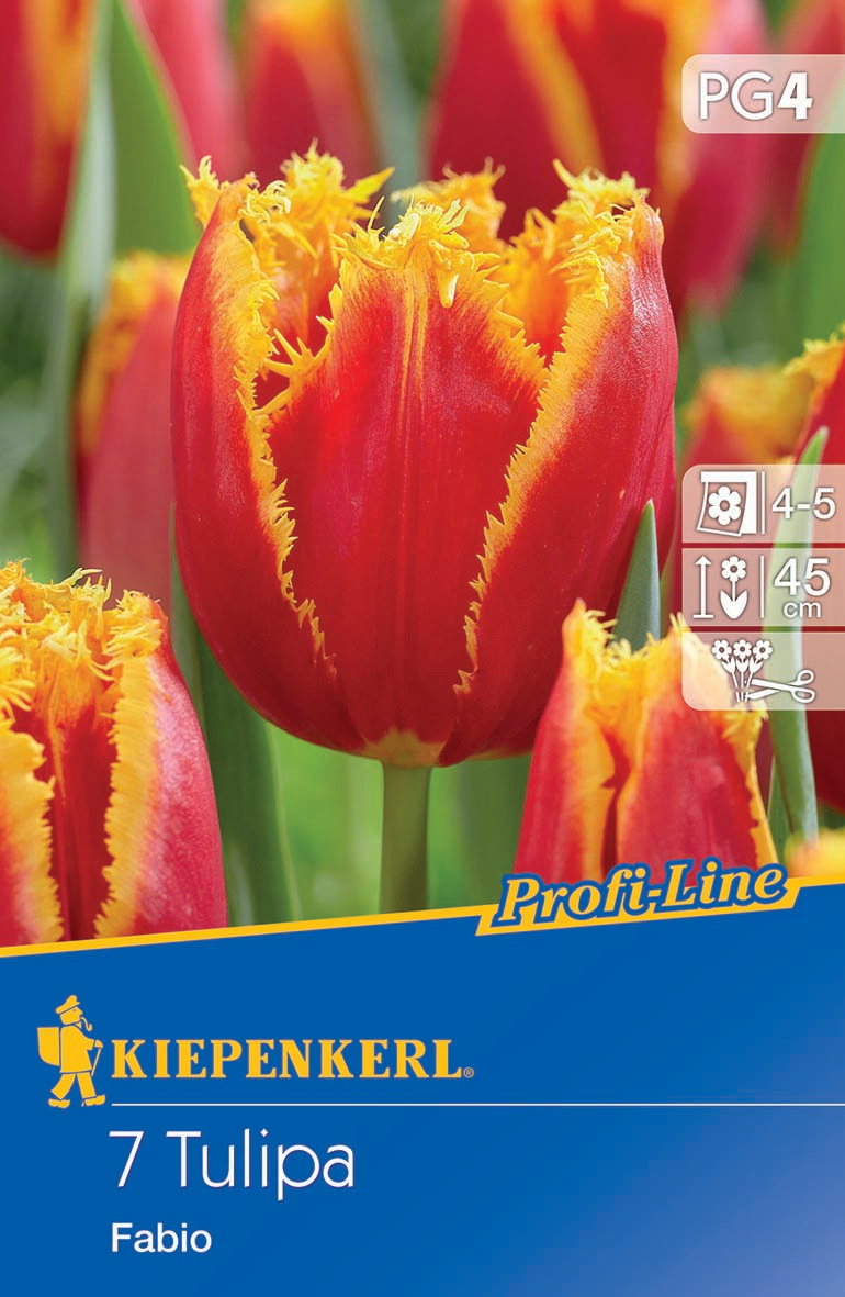 Profi-Line Gefranste Tulpe Fabio