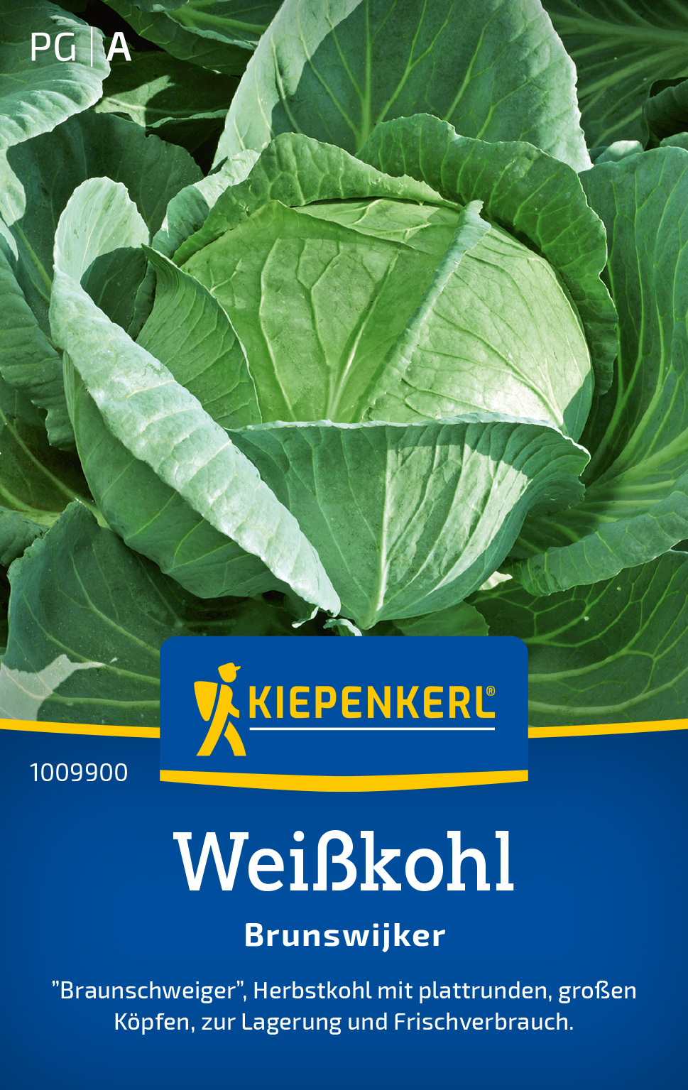 Weißkohl Brunswijker