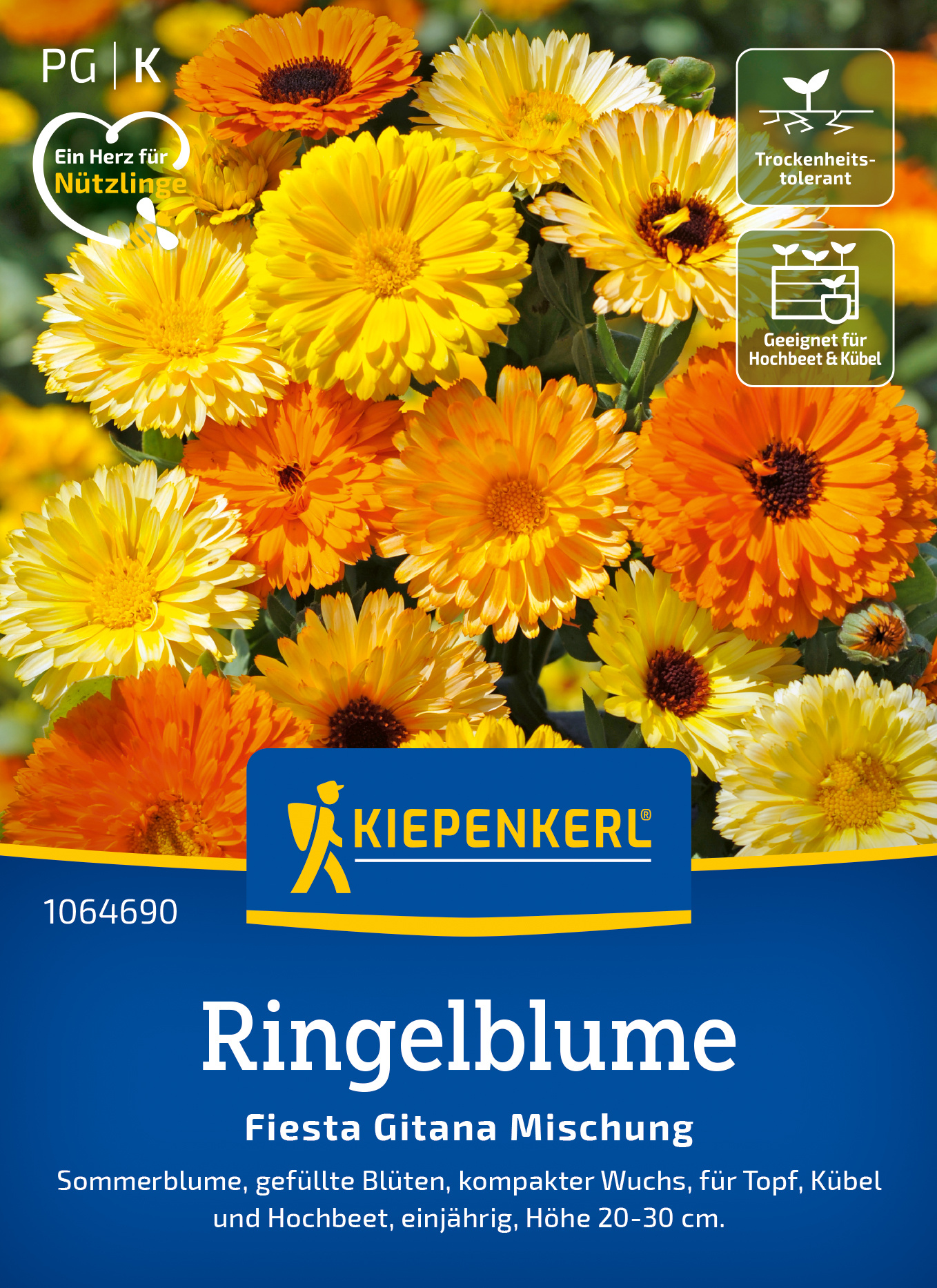 Ringelblume Fiesta Gitana Mischung