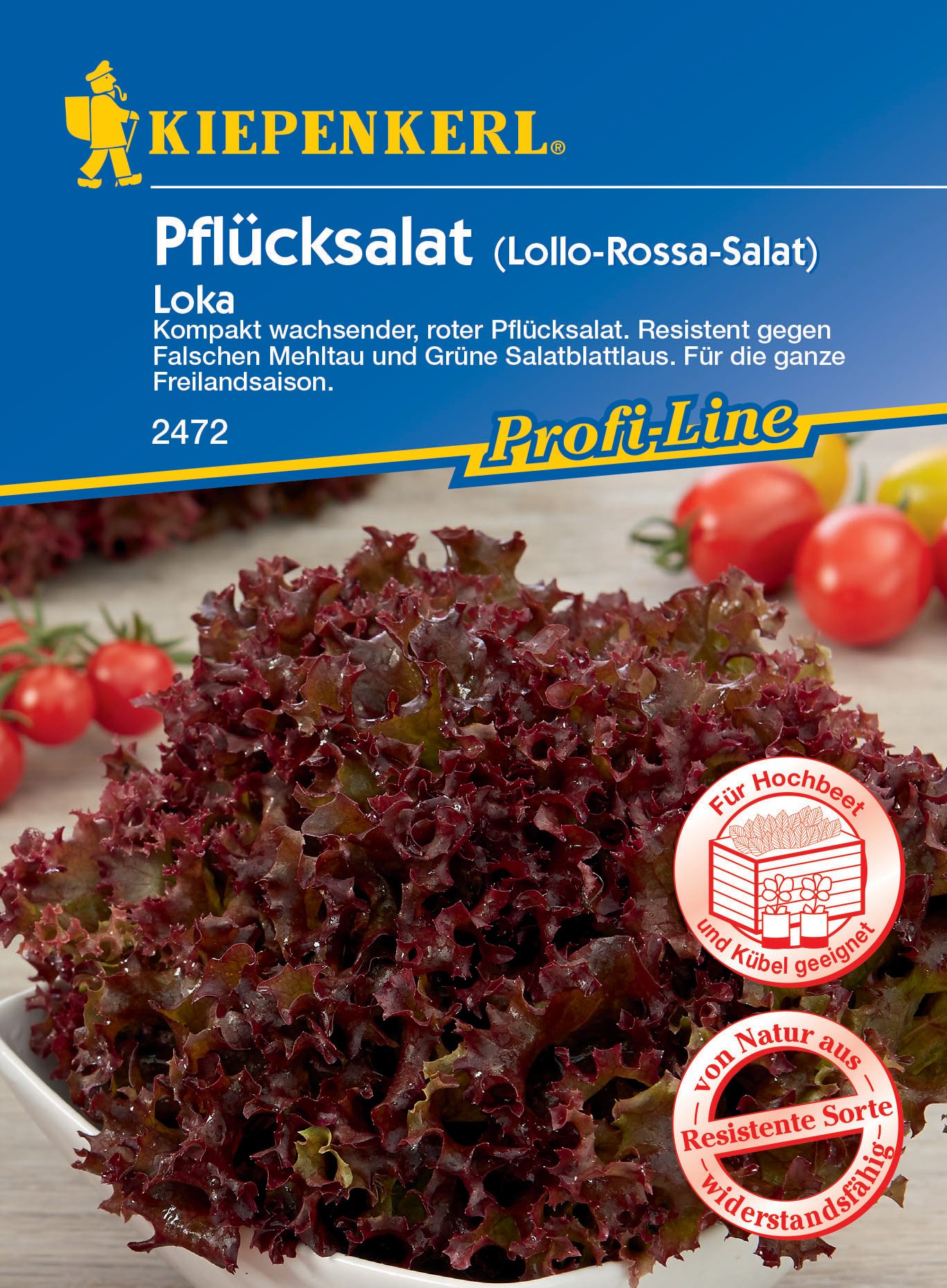 Pflücksalat Loka