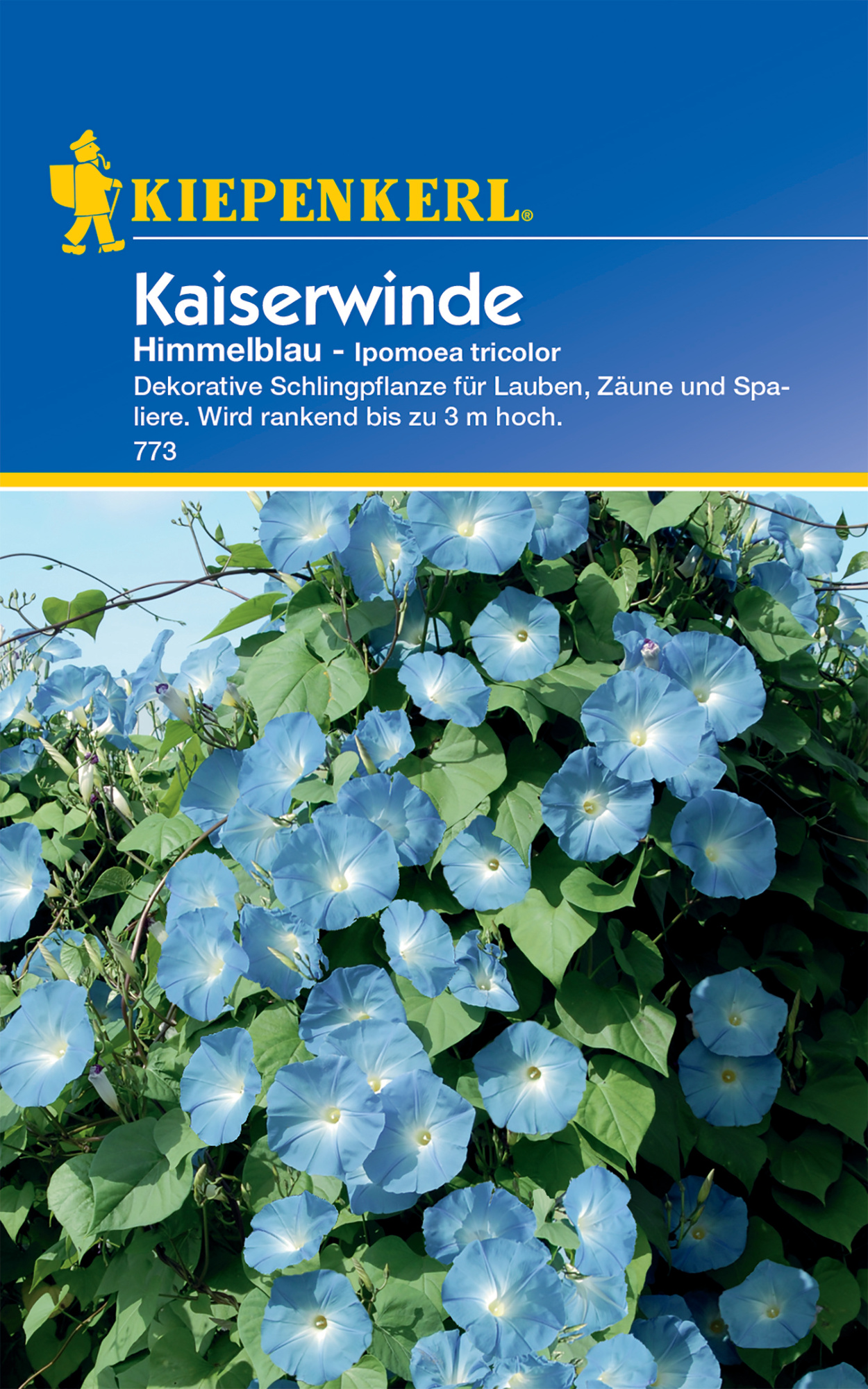 Kaiserwinde Himmelblau