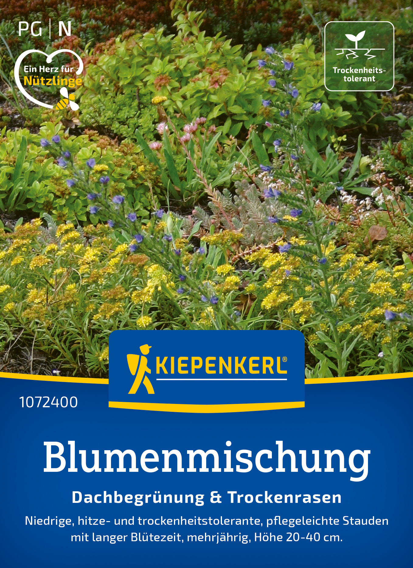 Blumenmischung Dachbegrünung & Trockenrasen