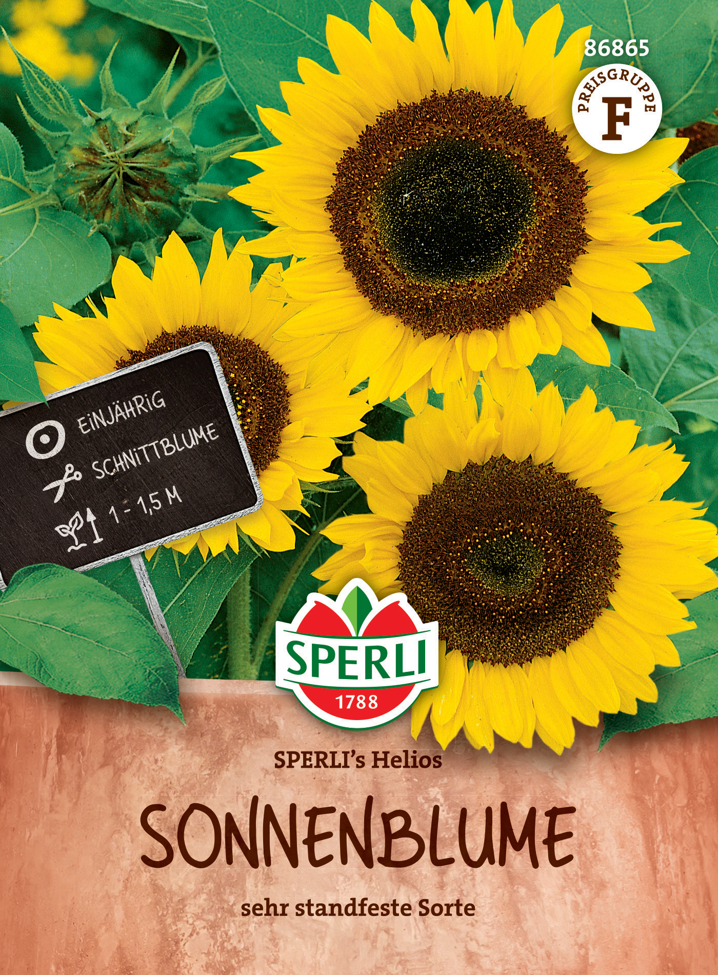 Sonnenblume SPERLI's Helios