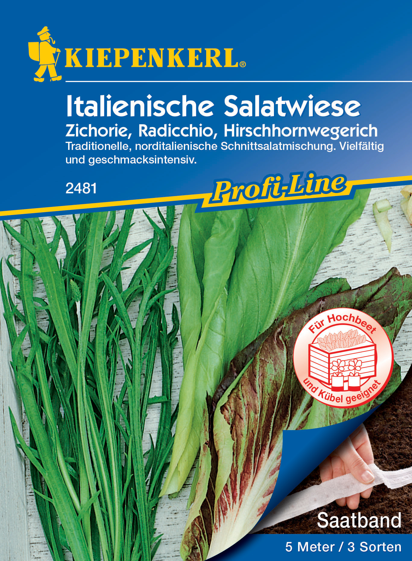 Italienische Salatwiese, Saatband