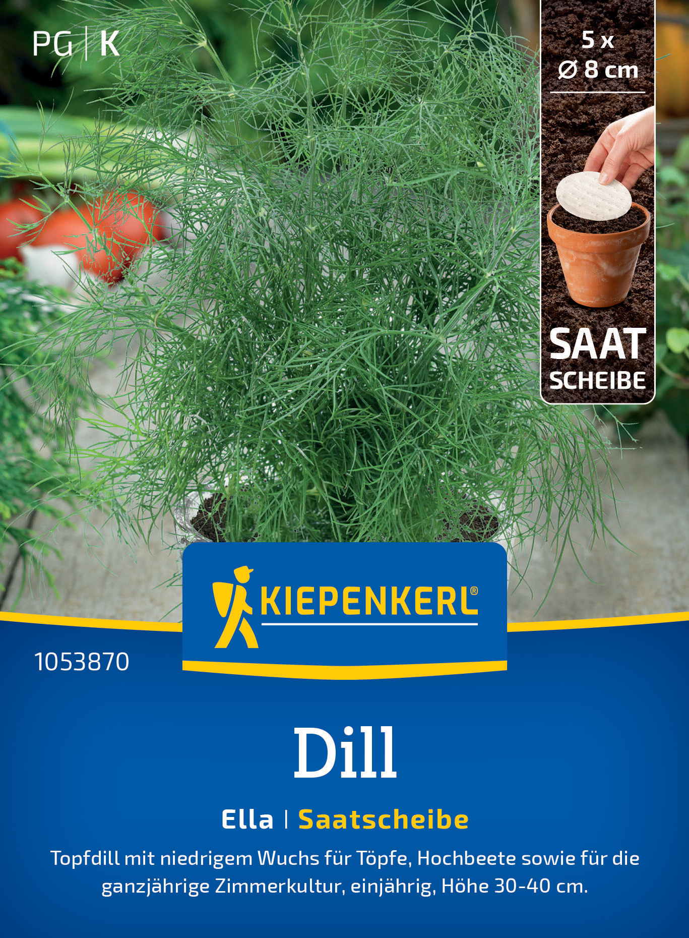 Dill Ella, Saatscheibe