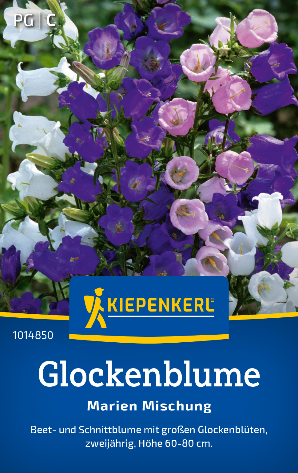 Glockenblume Marien Mischung