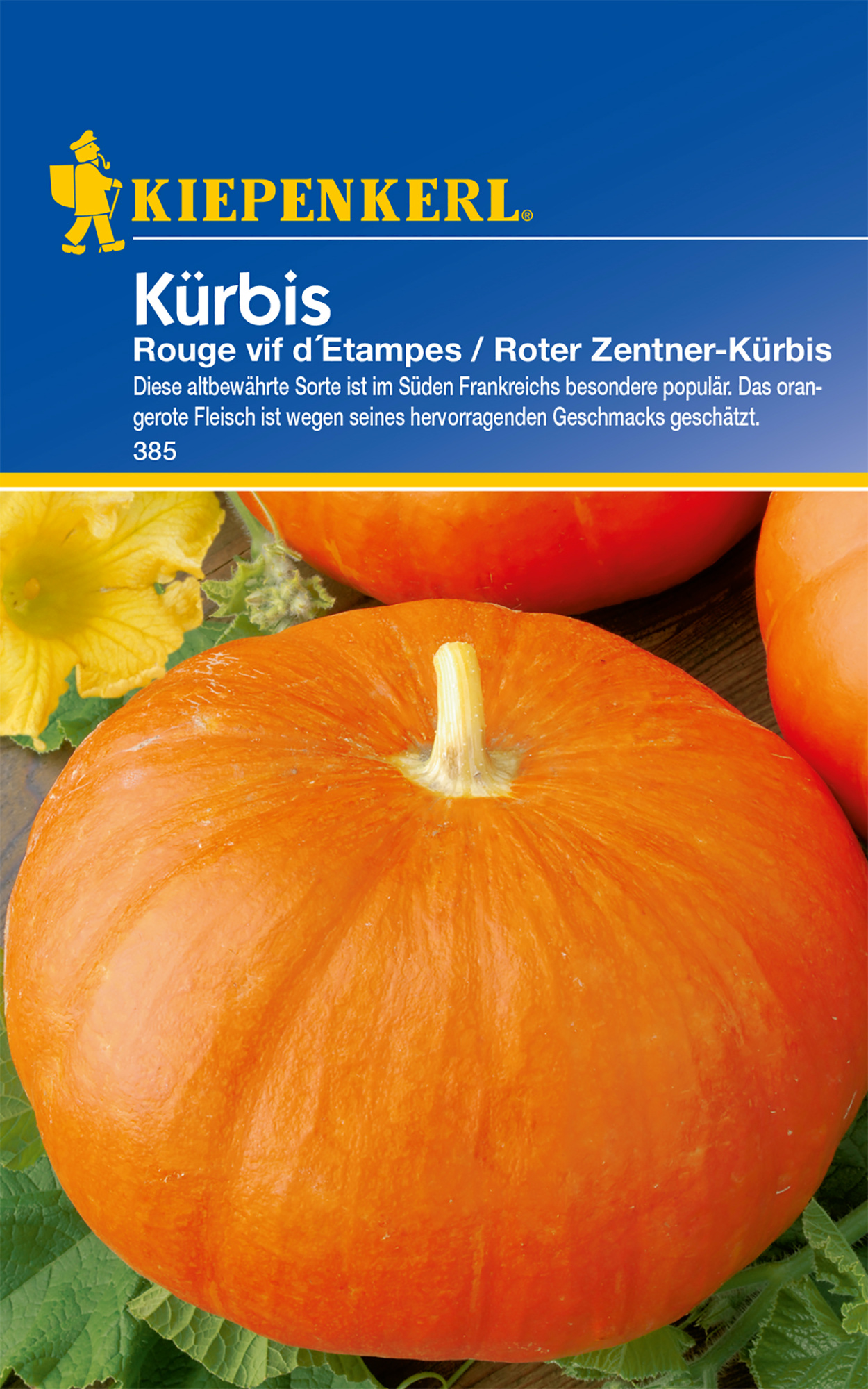 Kürbis Rouge vif d'Etampes