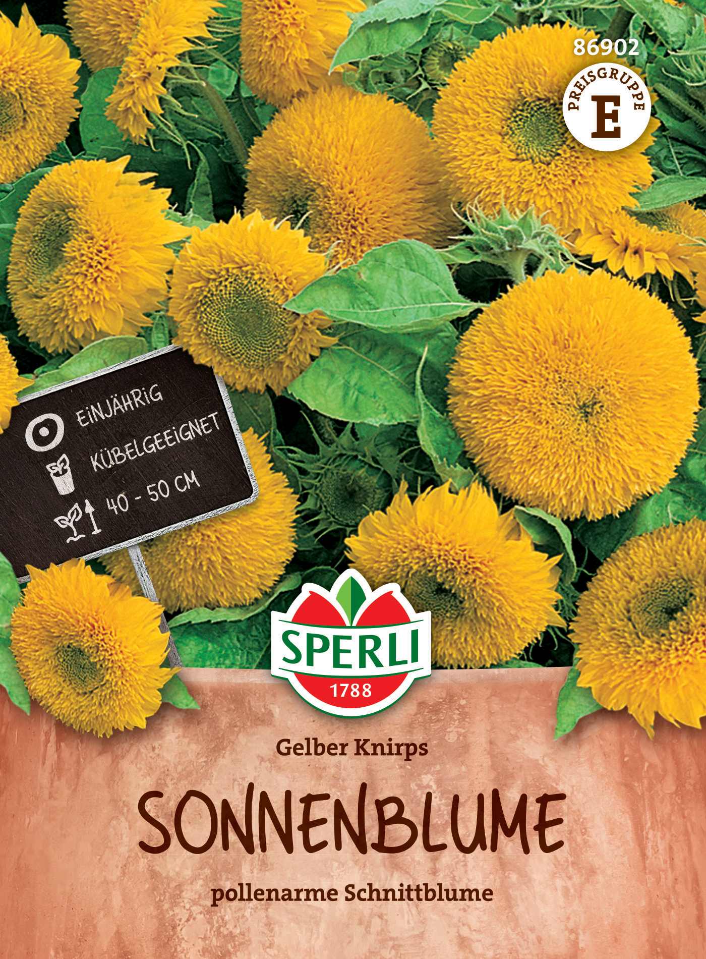 Sonnenblume Gelber Knirps, F1