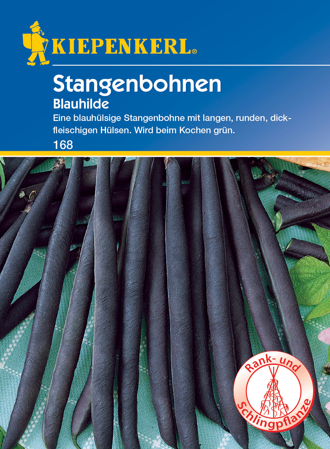 Stangenbohne Blauhilde