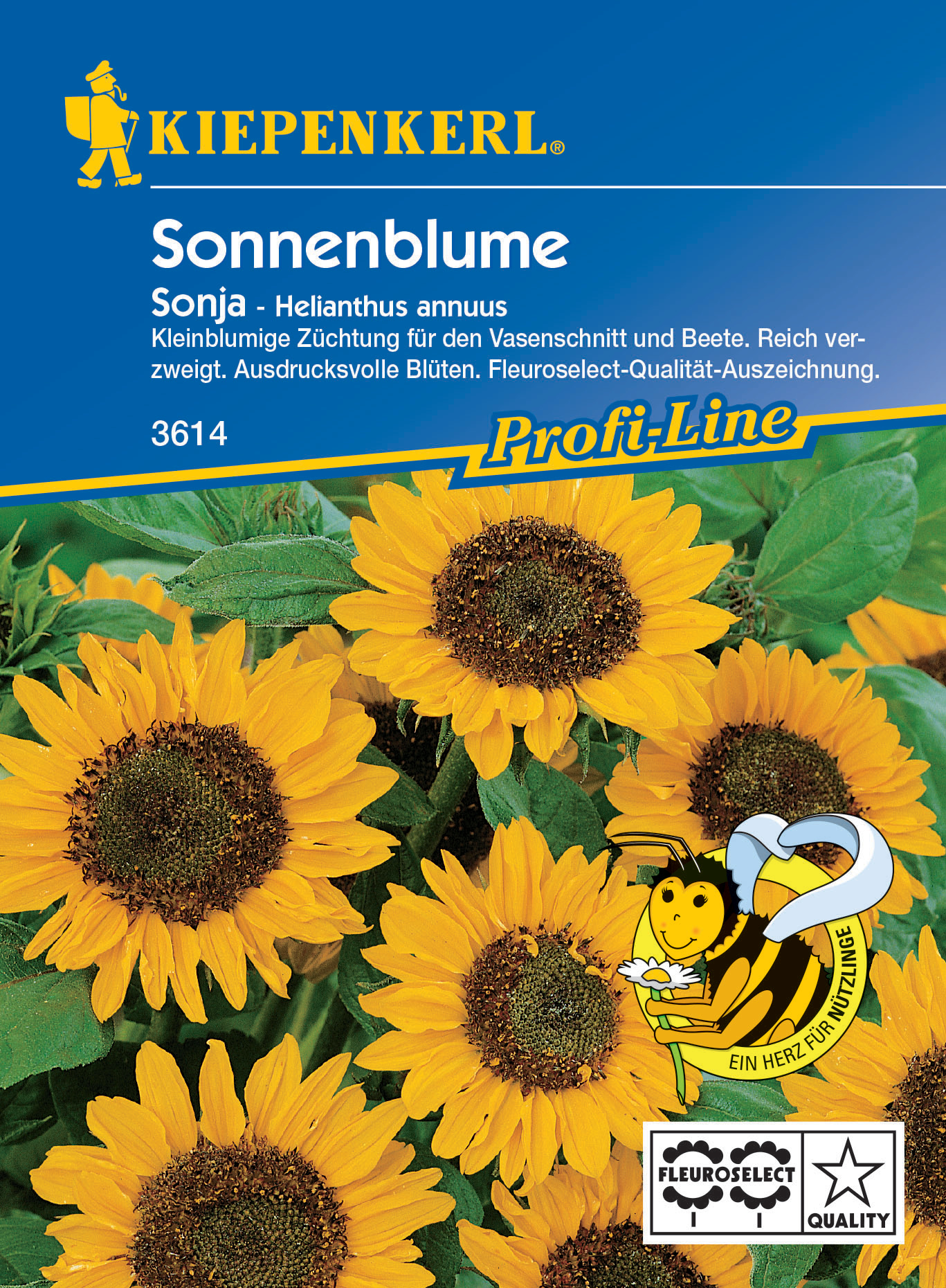 Sonnenblume Sonja