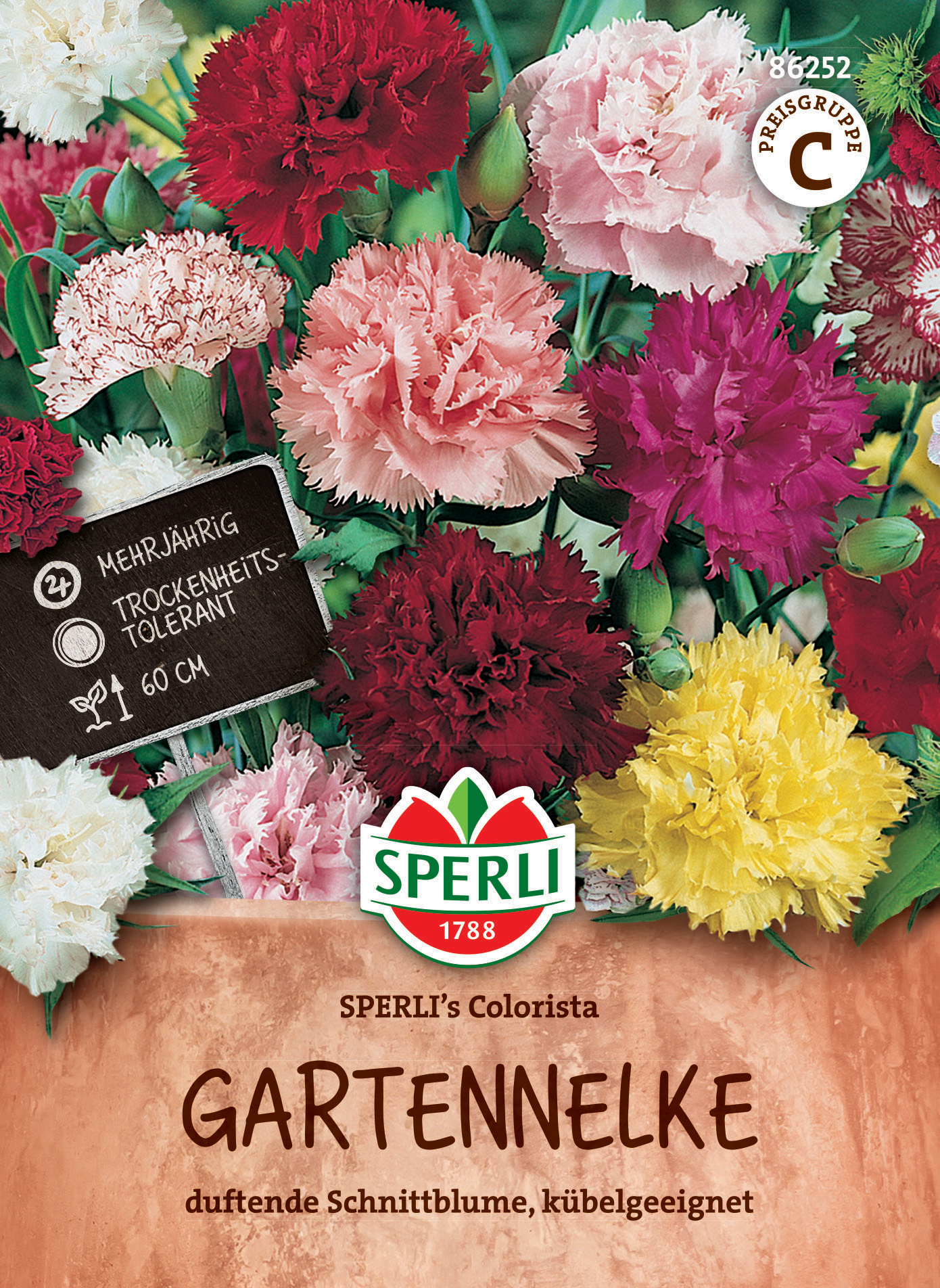 Gartennelke SPERLI's Colorista