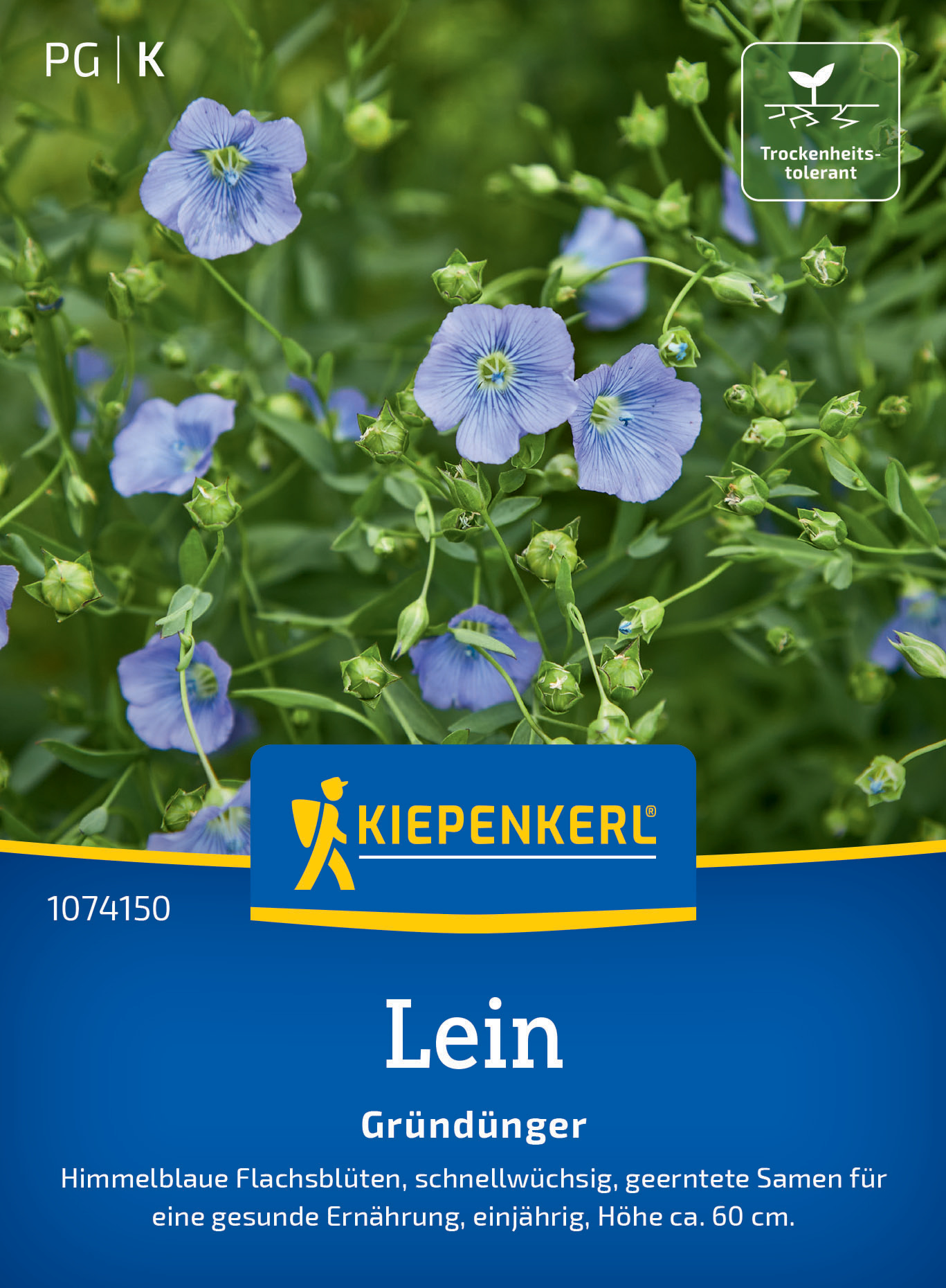 Lein Blauer Flachs